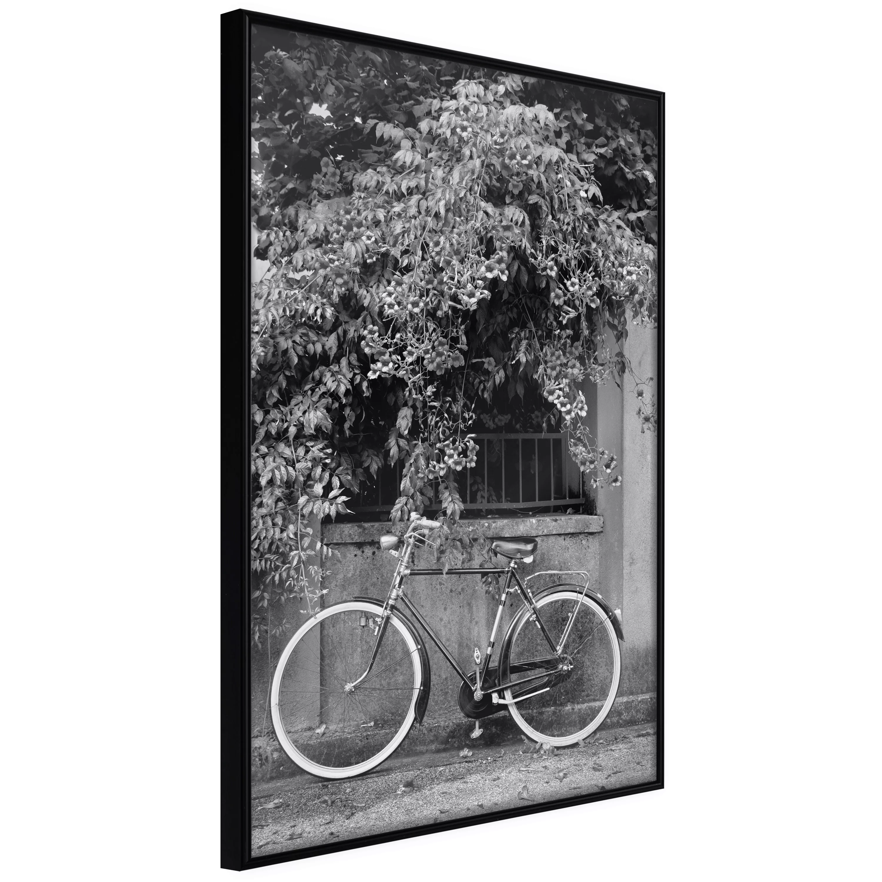 Poster - Bicycle With White Tires günstig online kaufen