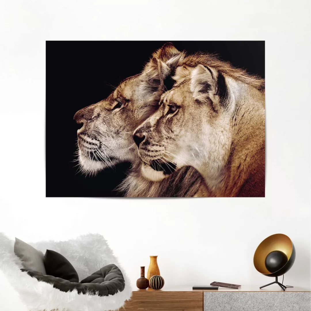 Reinders Poster "Löwe und Löwin" günstig online kaufen