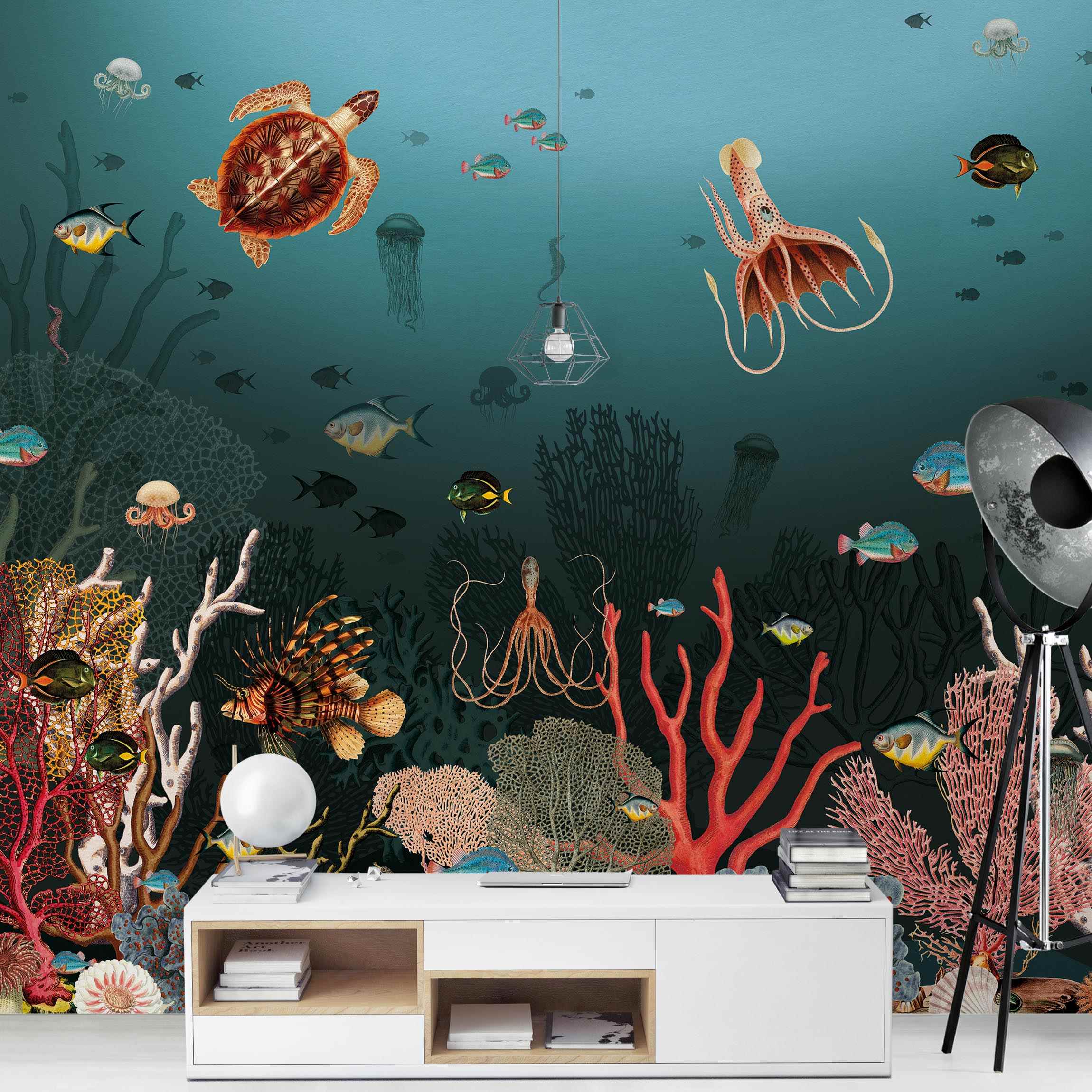 Fototapete Farbenfrohes Korallenriff günstig online kaufen