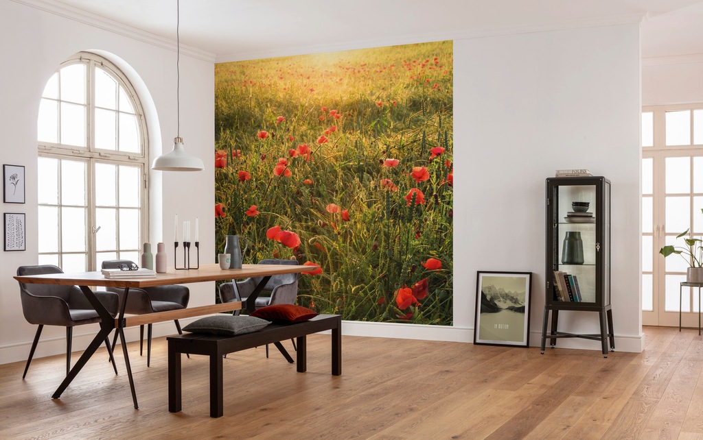 Komar Fototapete Poppy World B/L: ca. 250x280 cm günstig online kaufen