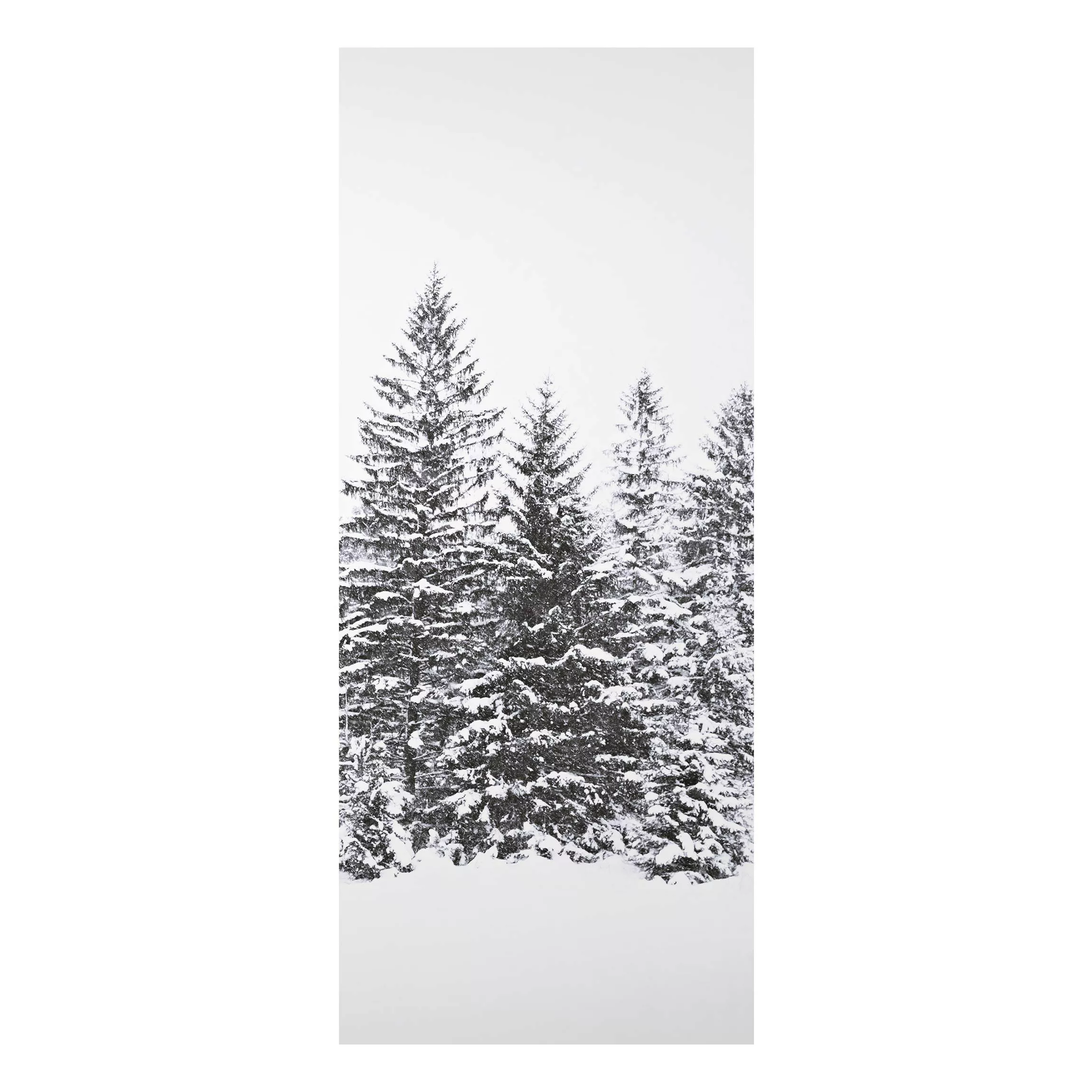 Alu-Dibond Bild Dunkle Winterlandschaft günstig online kaufen