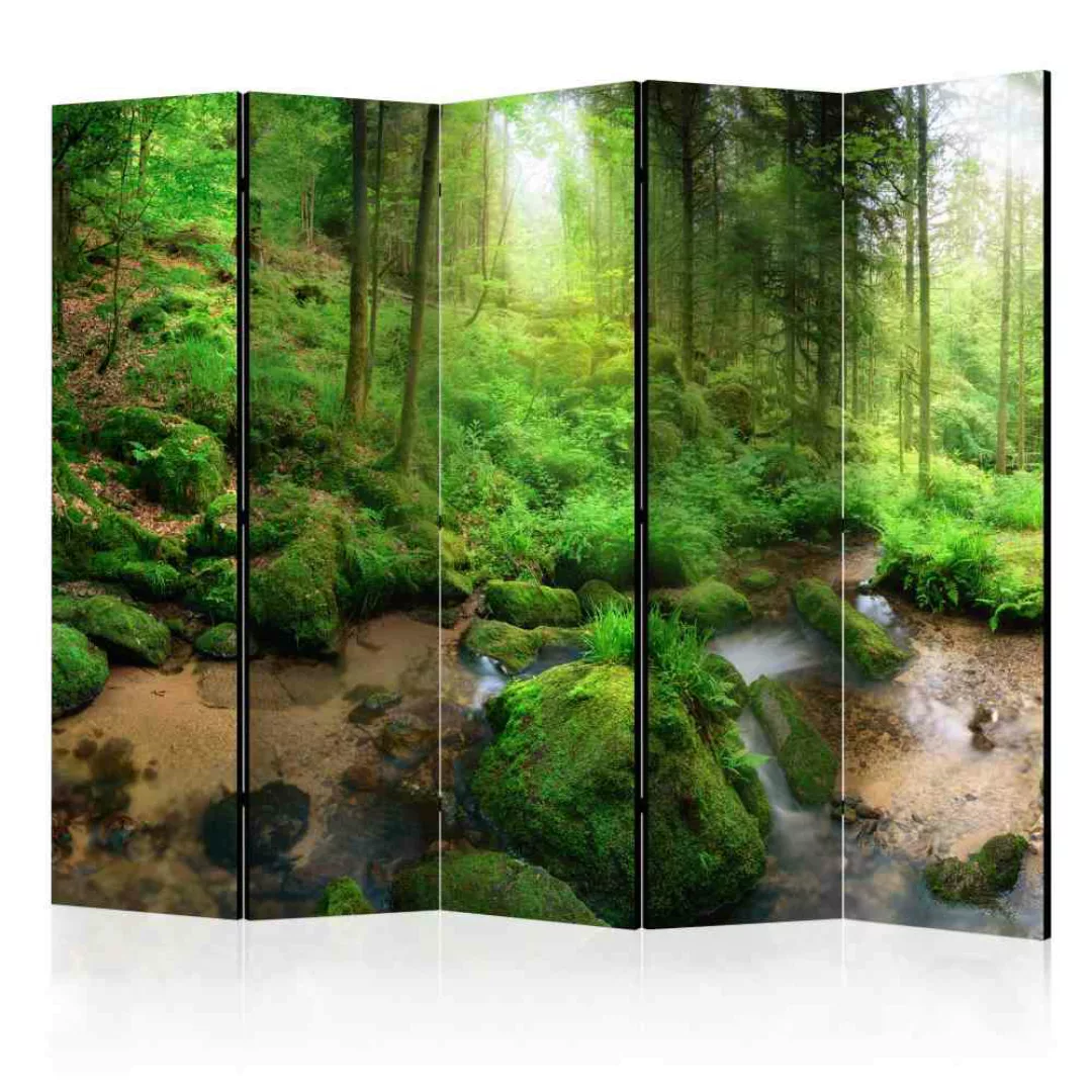 Leinwand Raumteiler mit Wald Motiv 225 cm breit günstig online kaufen