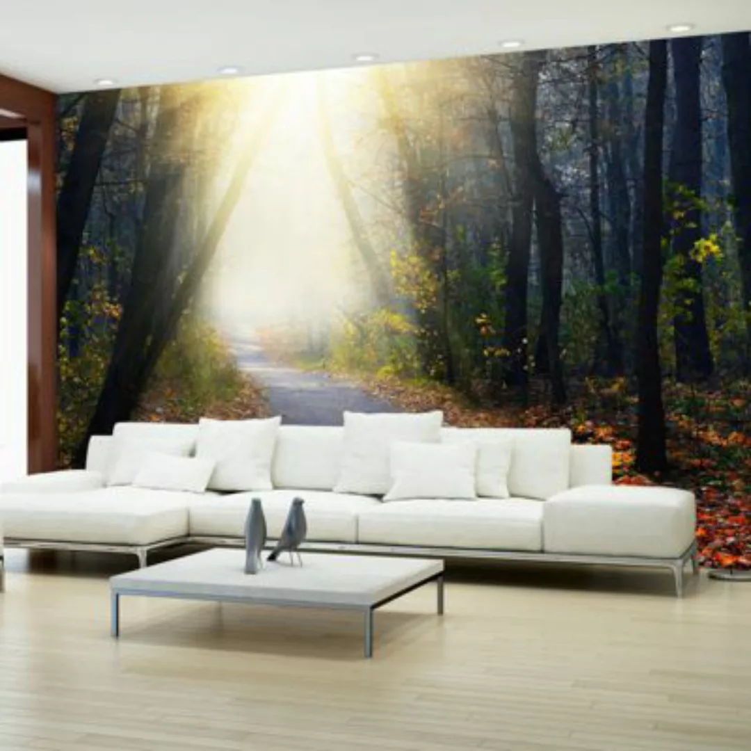 artgeist Fototapete Road through the Forest mehrfarbig Gr. 250 x 175 günstig online kaufen