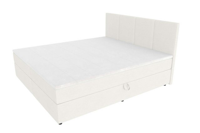 Boxspringbett Alvaro (Schlafzimmerbett, Bett), 140/160/180x200, mit Topper, günstig online kaufen