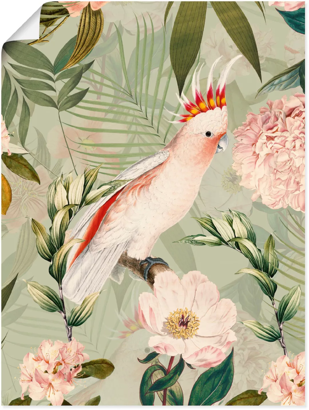 Artland Wandbild "Vintage Papagei", Vogelbilder, (1 St.) günstig online kaufen