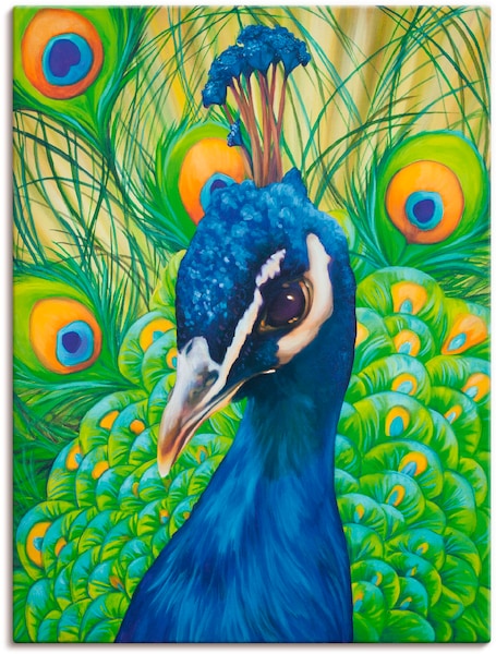 Artland Wandbild »Pfau«, Vögel, (1 St.), als Leinwandbild, Poster in versch günstig online kaufen