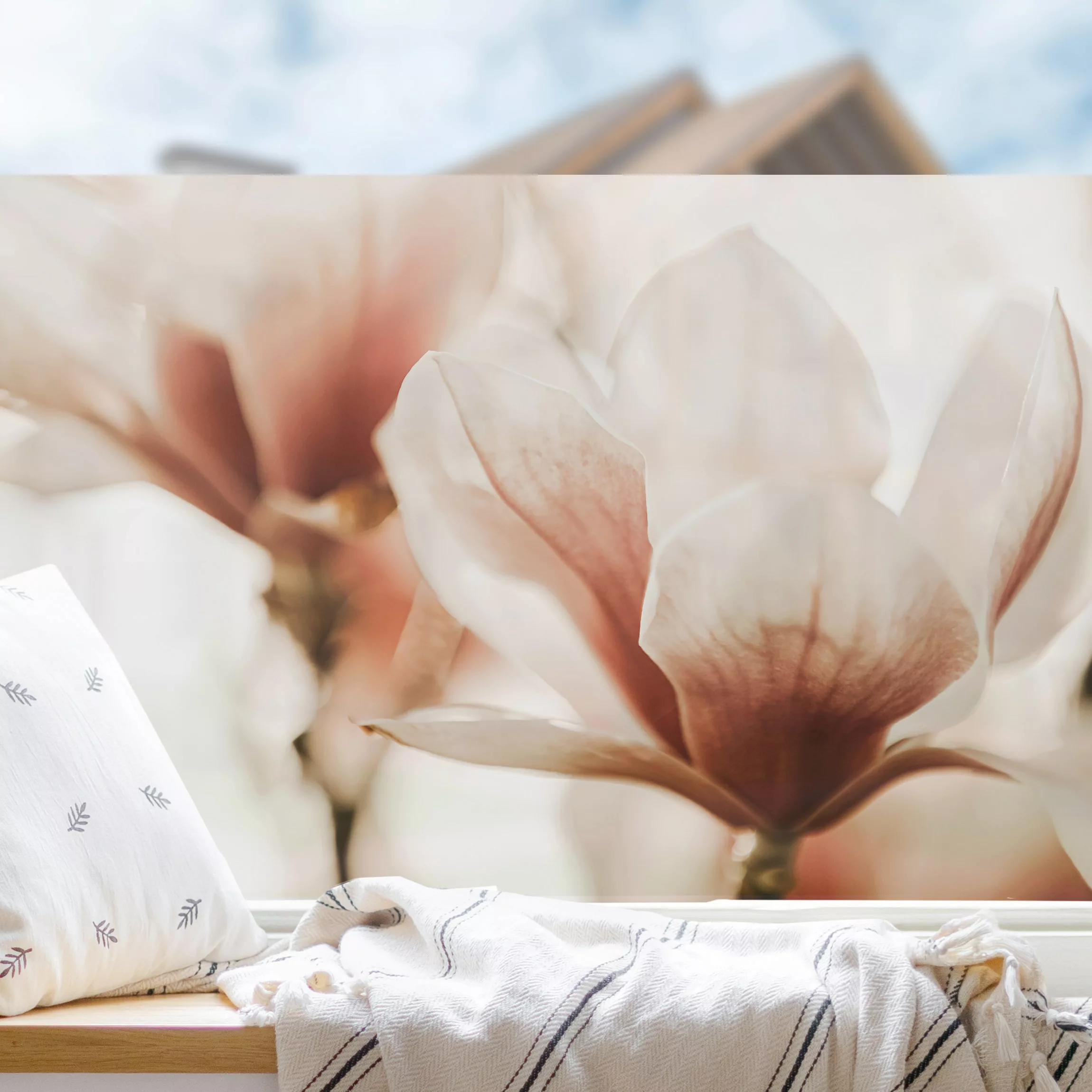 Fensterfolie Zarte Magnolienblüten im Lichtspiel günstig online kaufen