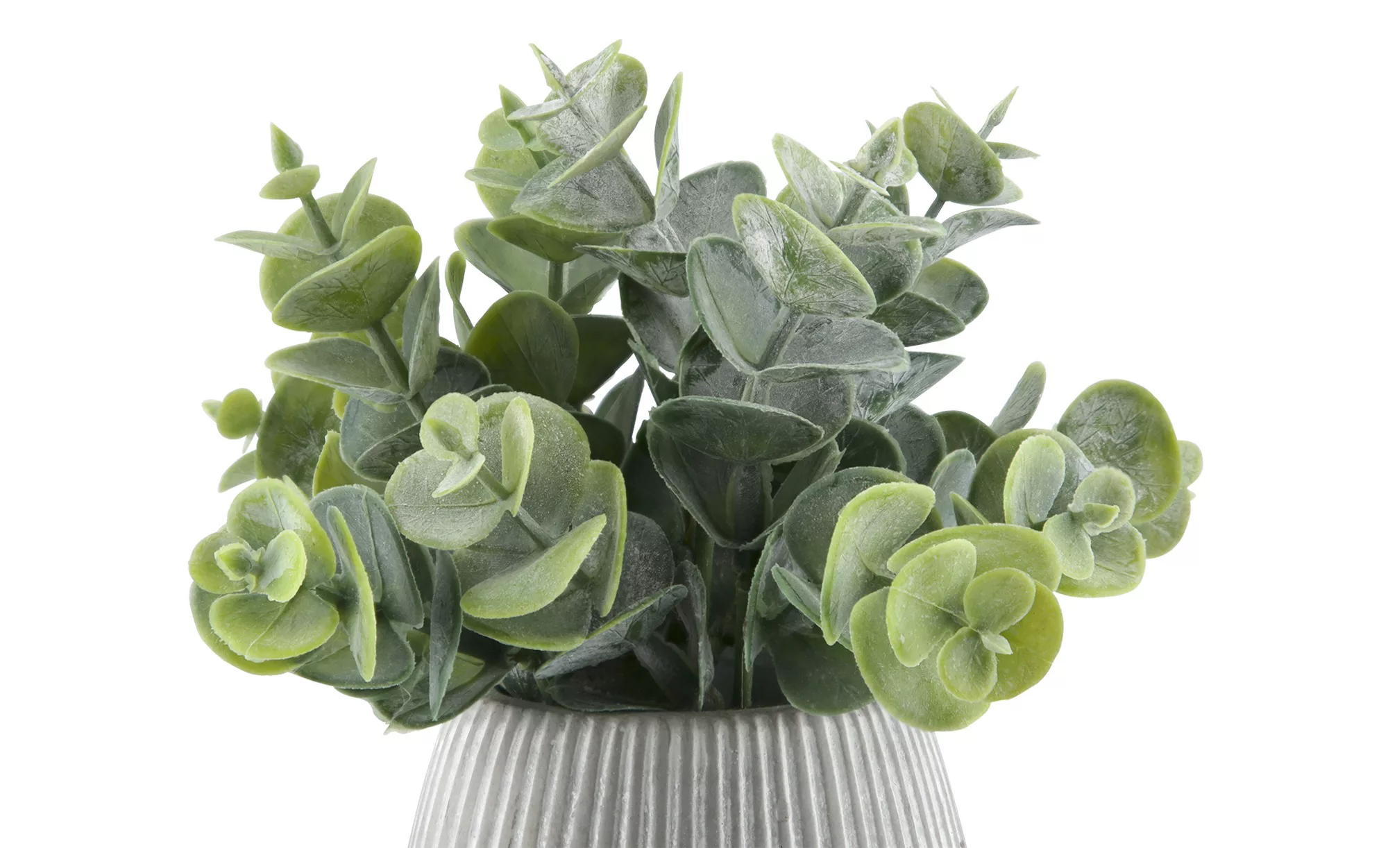Kunstblume  Eukalyptus ¦ grün ¦ Schaumstoff, Stein, Kunststoff, Stein, Scha günstig online kaufen