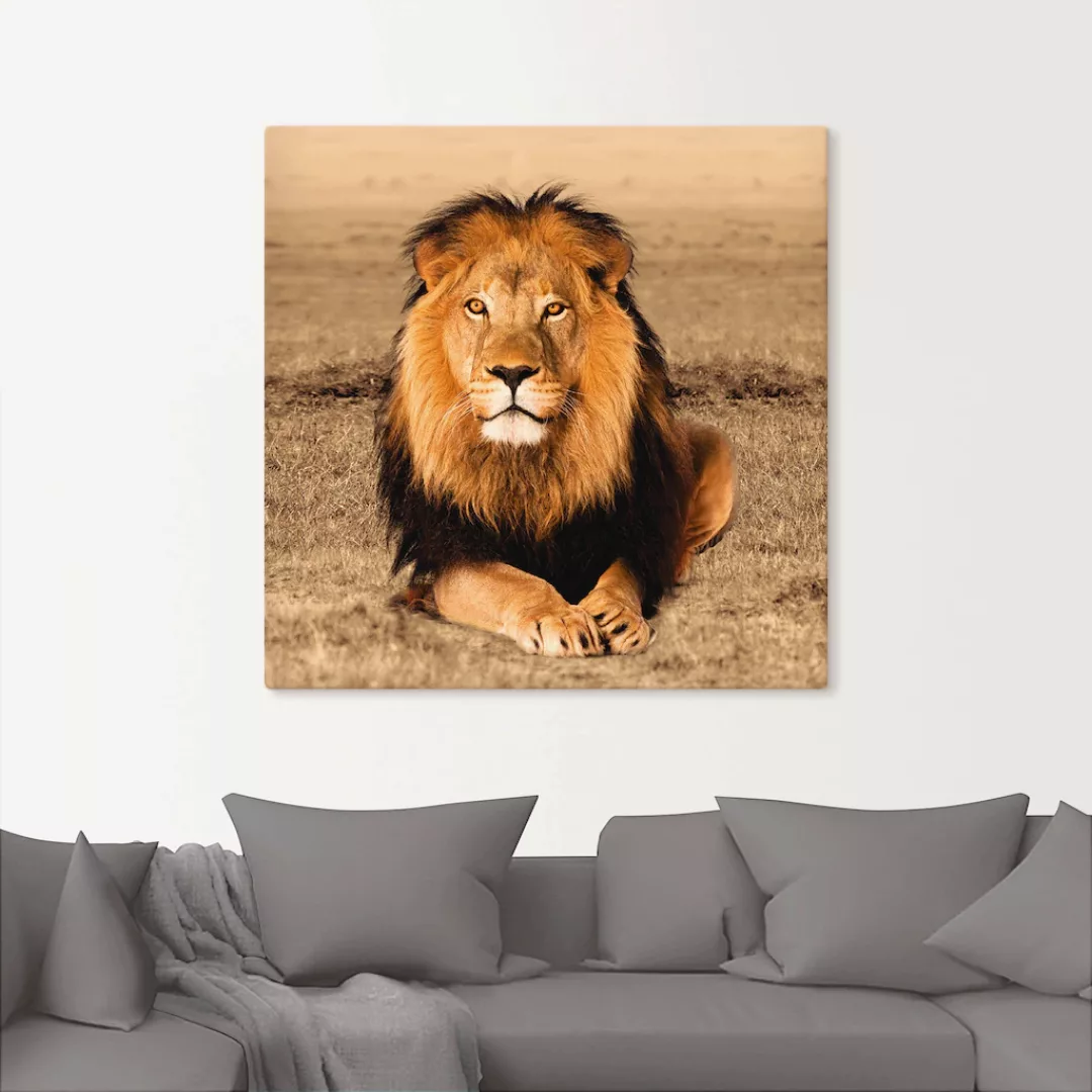 Artland Wandbild "Löwe", Wildtiere, (1 St.) günstig online kaufen
