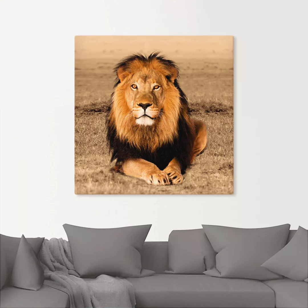 Artland Wandbild "Löwe", Wildtiere, (1 St.), als Alubild, Outdoorbild, Lein günstig online kaufen