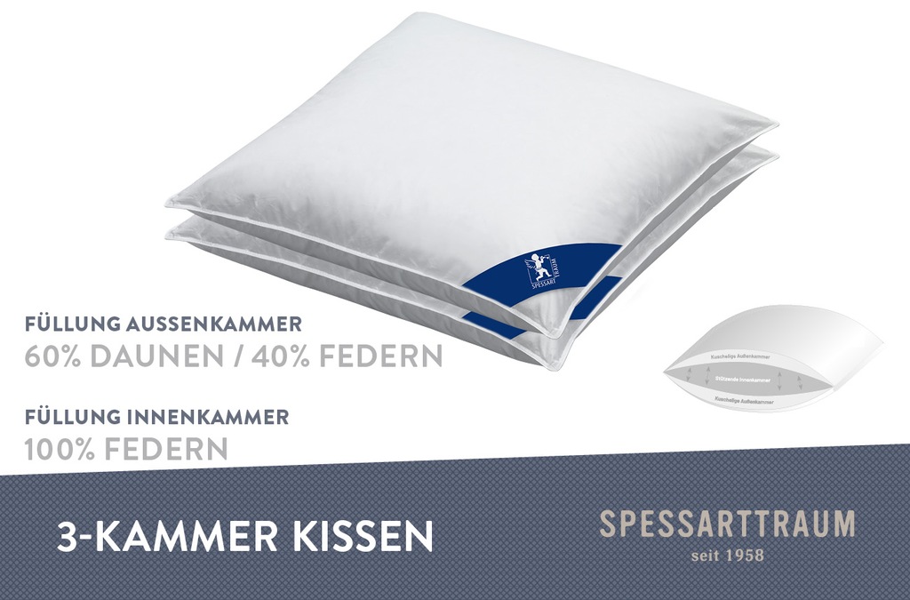 SPESSARTTRAUM 3-Kammer-Kopfkissen »Laax Sparset«, (2 St.), Kissen 40x80, 80 günstig online kaufen