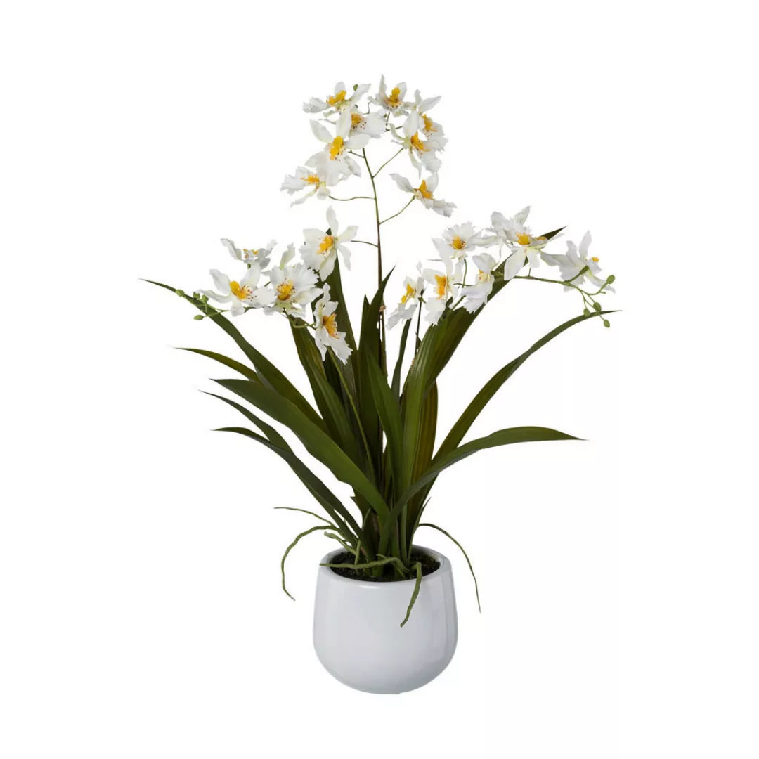 Kunstpflanze Cambria-Orchidee weiß Kunststoff B/H/L: ca. 17x55x17 cm günstig online kaufen