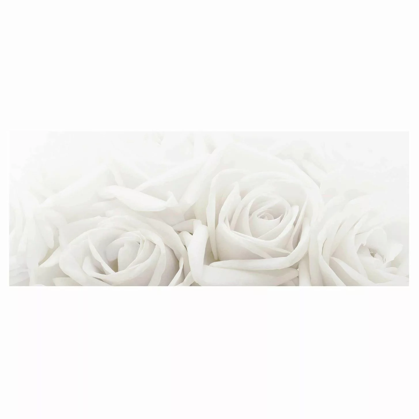 Glasbild Blumen - Panorama Wedding Roses günstig online kaufen