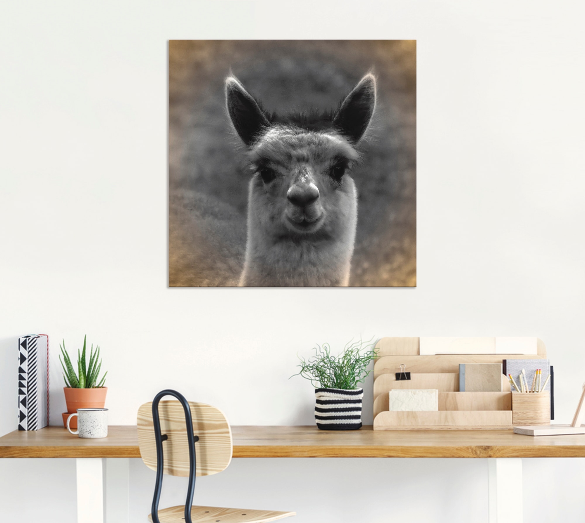 Artland Wandbild "Alpaka Blick", Wildtiere, (1 St.), als Alubild, Outdoorbi günstig online kaufen