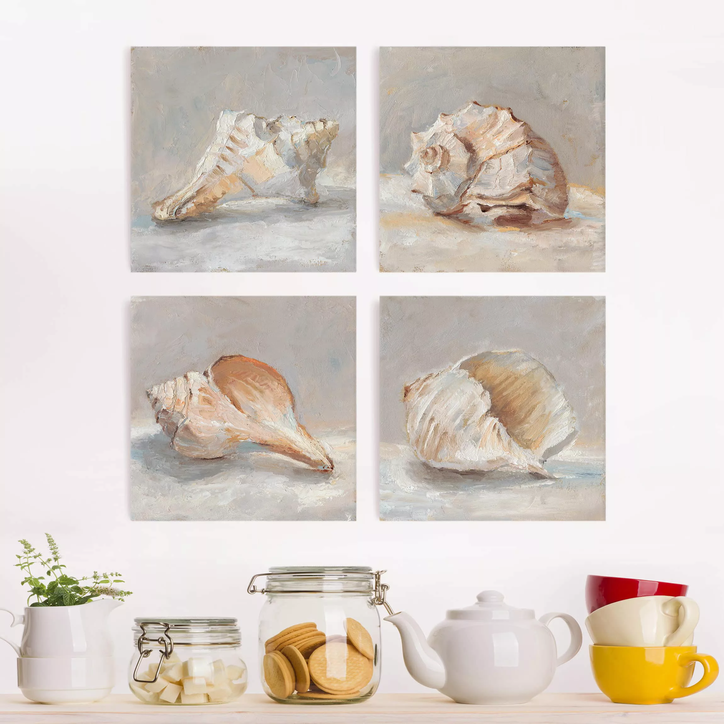 4-teiliges Leinwandbild Tiere - Quadrat Muschel-Studie Set II günstig online kaufen