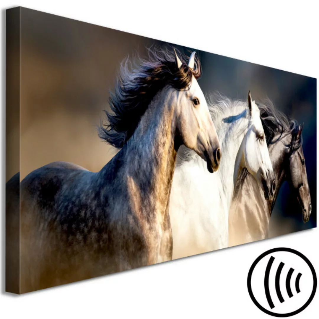 Bild auf Leinwand Sons of the Wind (1 Part) Narrow XXL günstig online kaufen