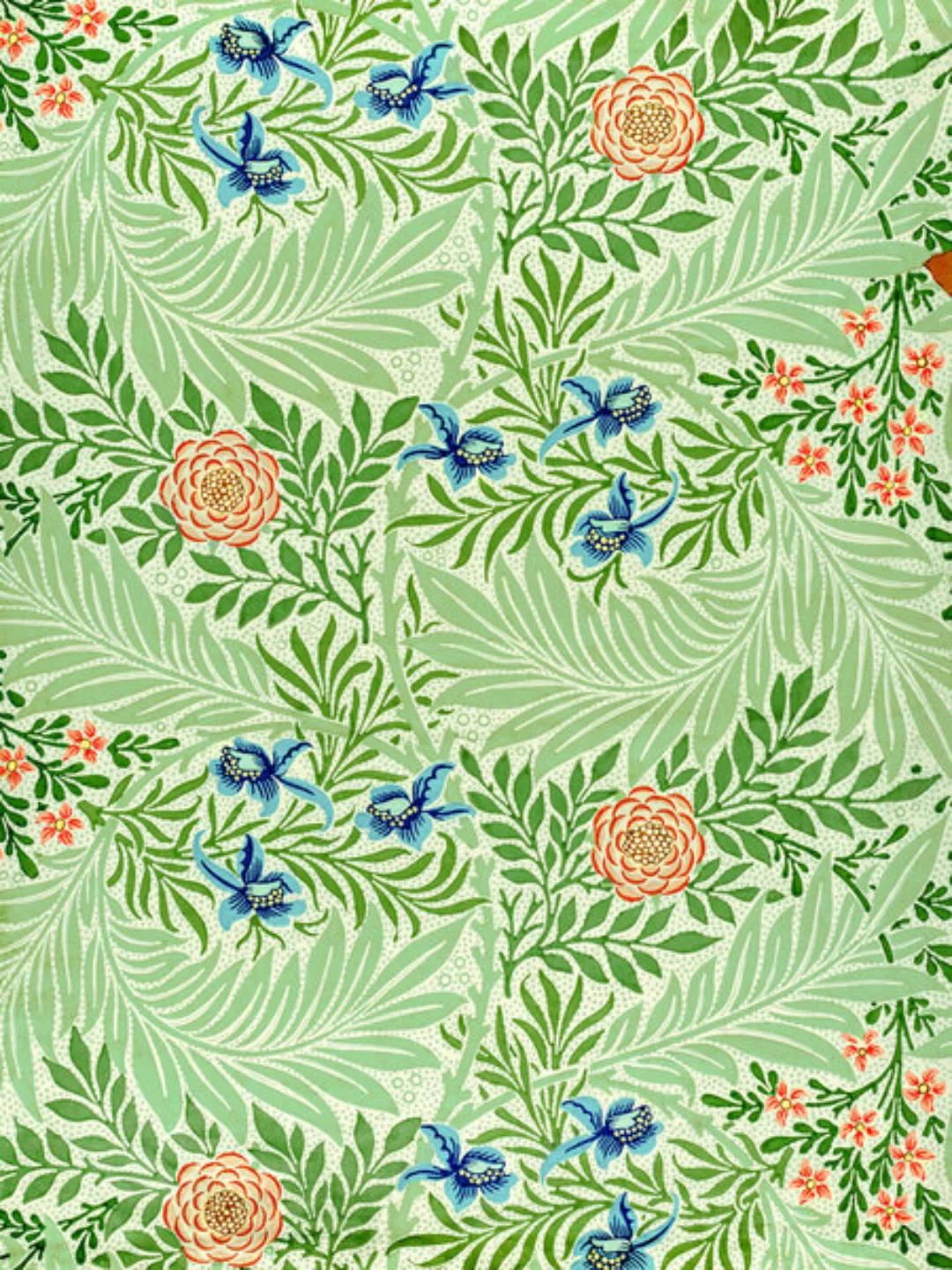 Poster / Leinwandbild - William Morris: Ritterspornmuster günstig online kaufen