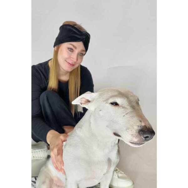 Stirnband Turban Schwarz Nicki günstig online kaufen
