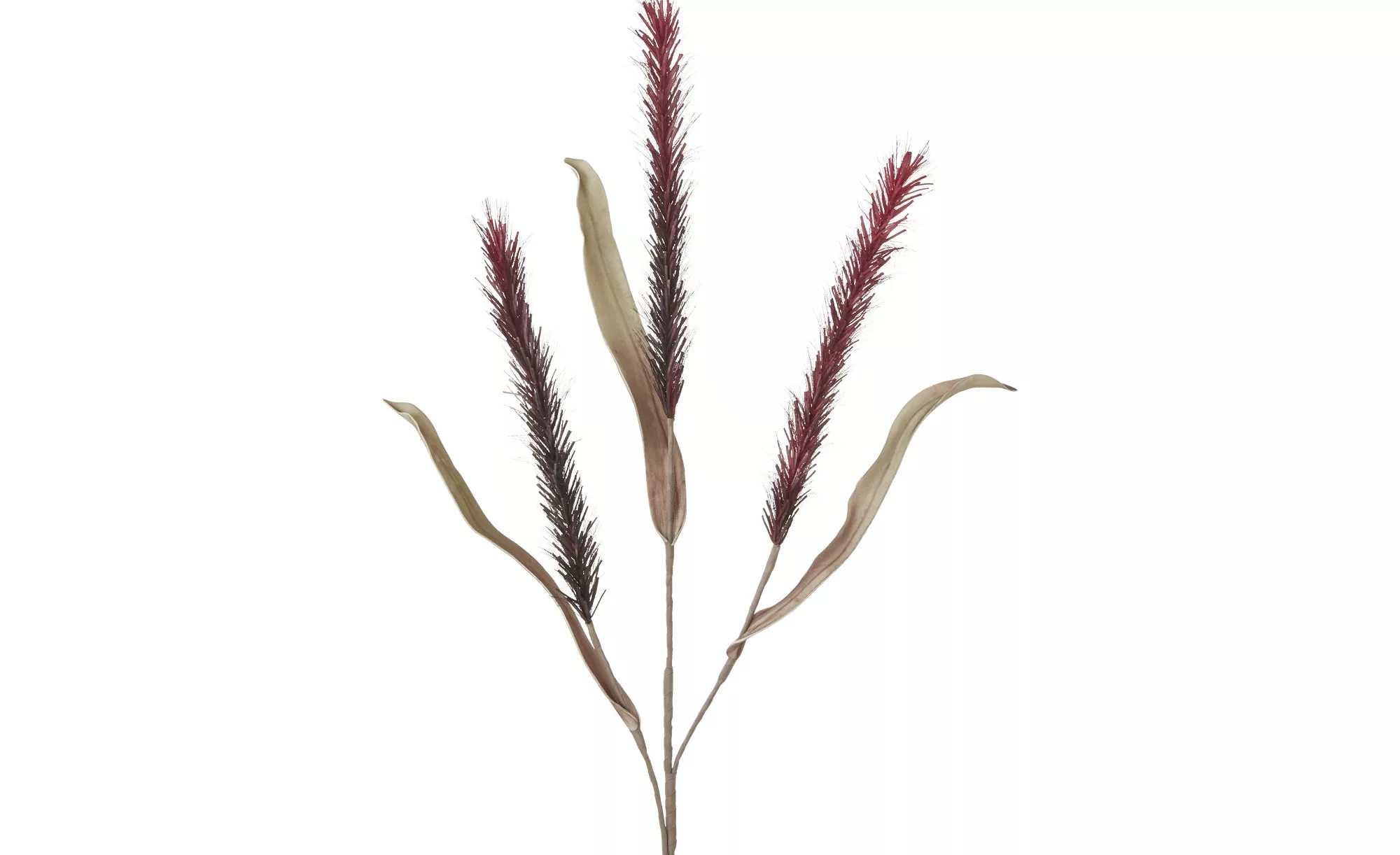 Soft Flower Liriope - rot - Kunststoff, Metall - 118 cm - Dekoration > Kuns günstig online kaufen