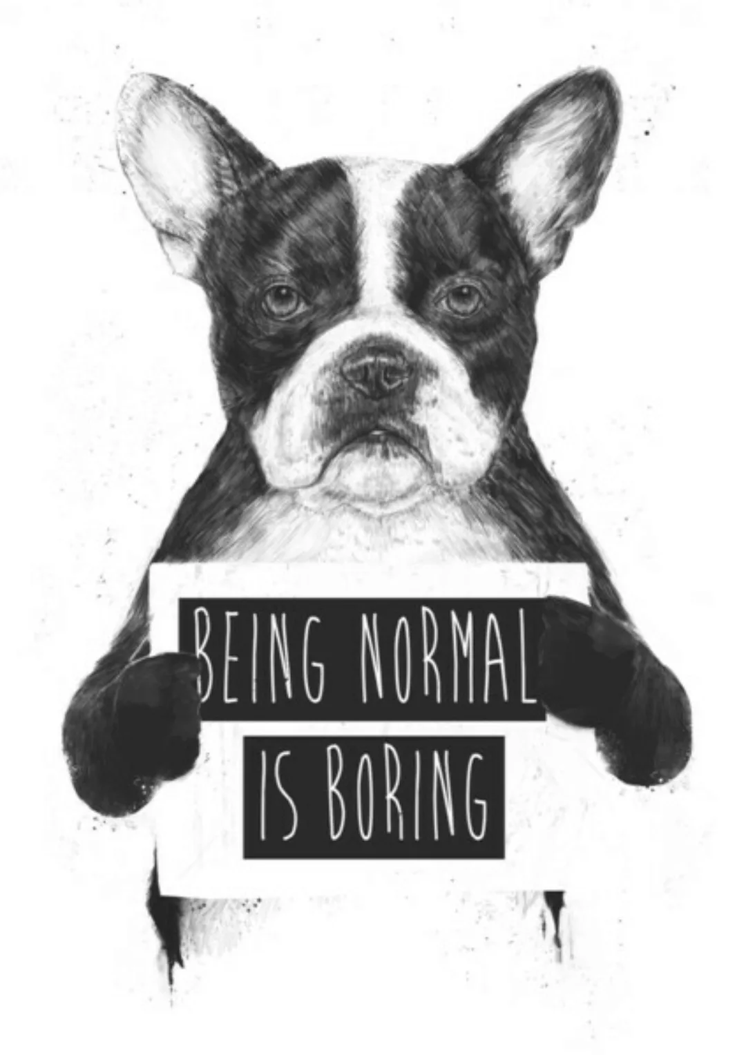 Poster / Leinwandbild - Being Normal Is Boring günstig online kaufen