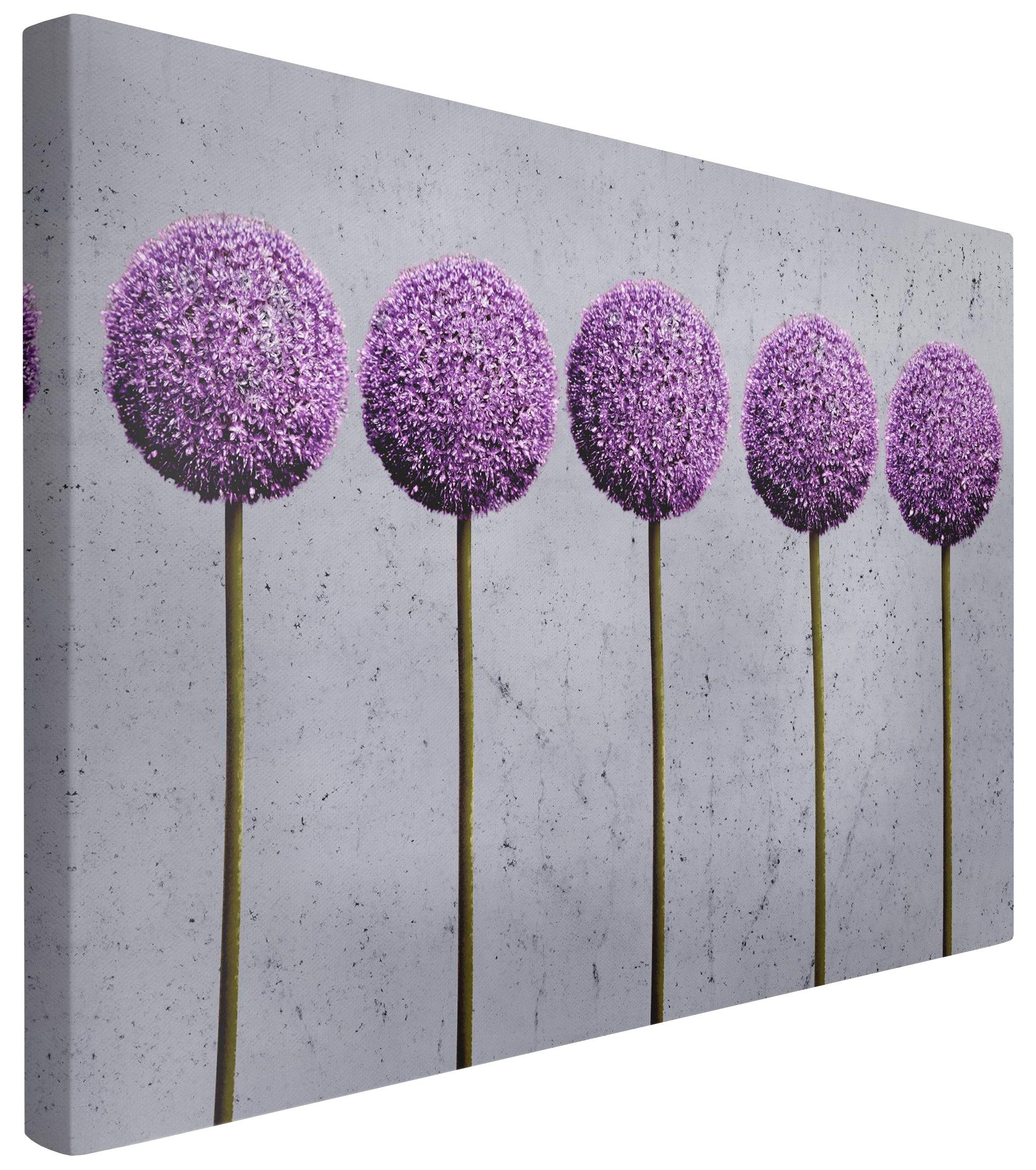 Bilderdepot24 Leinwandbild Blumen Modern Natur Allium günstig online kaufen