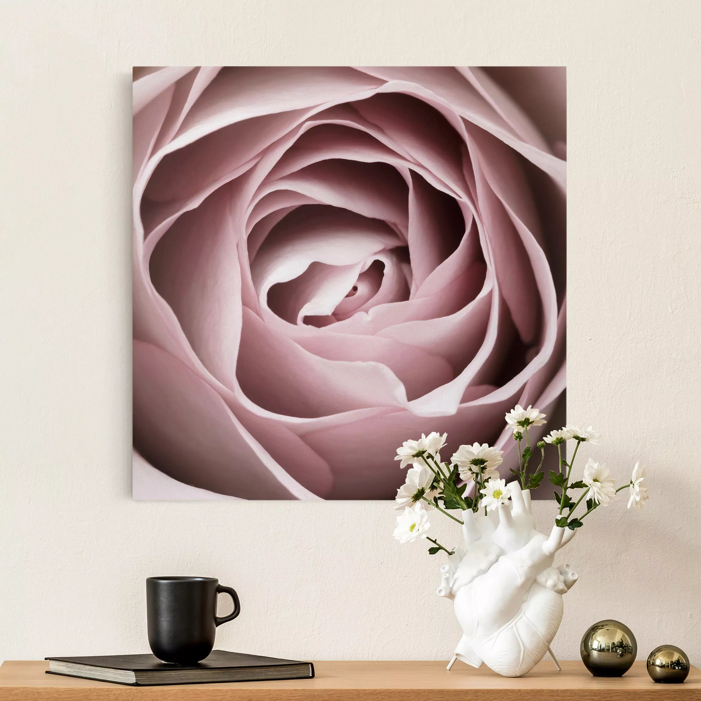 Leinwandbild Zarte Rose in Altrosa günstig online kaufen