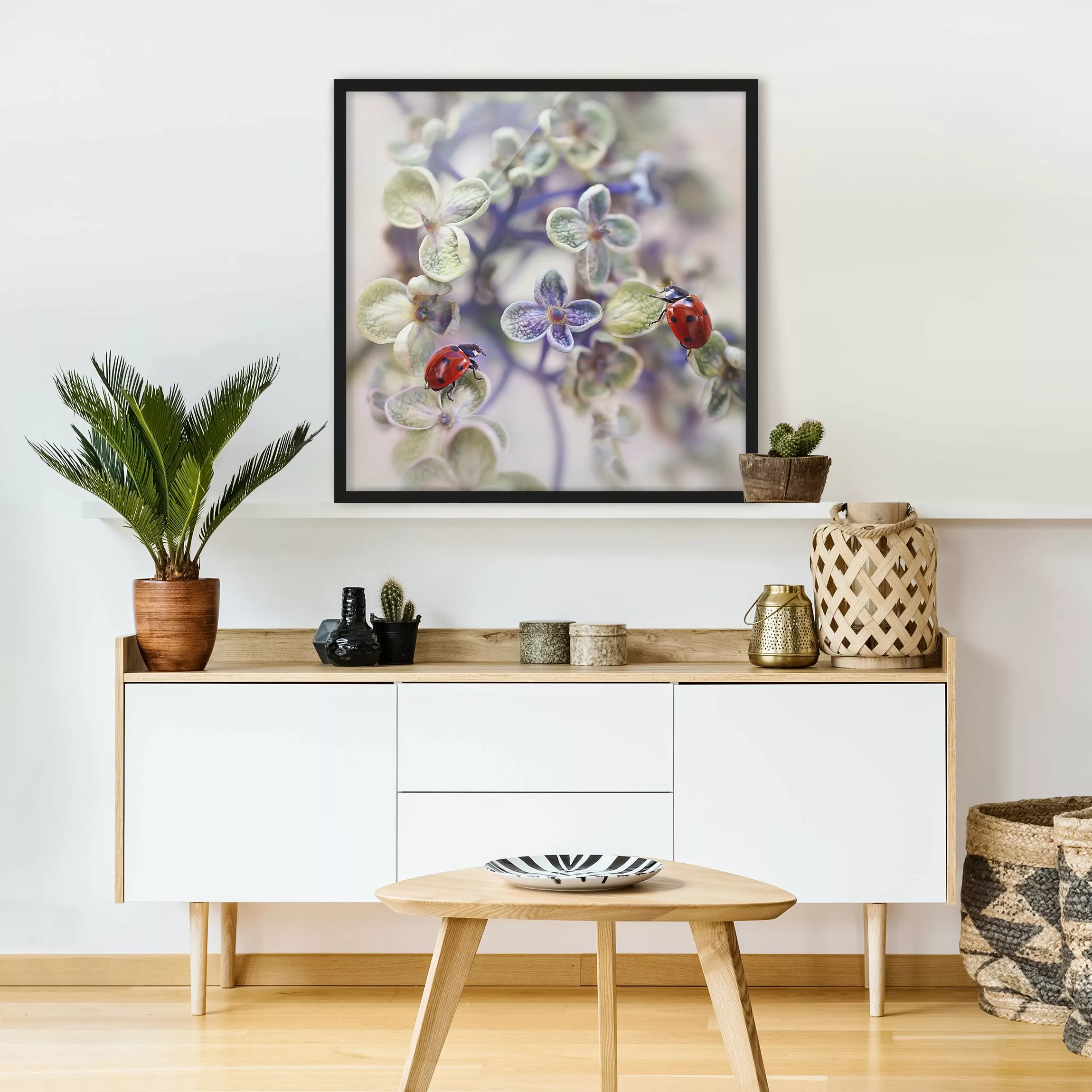Bild mit Rahmen Blumen - Quadrat Marienkäfer im Garten günstig online kaufen