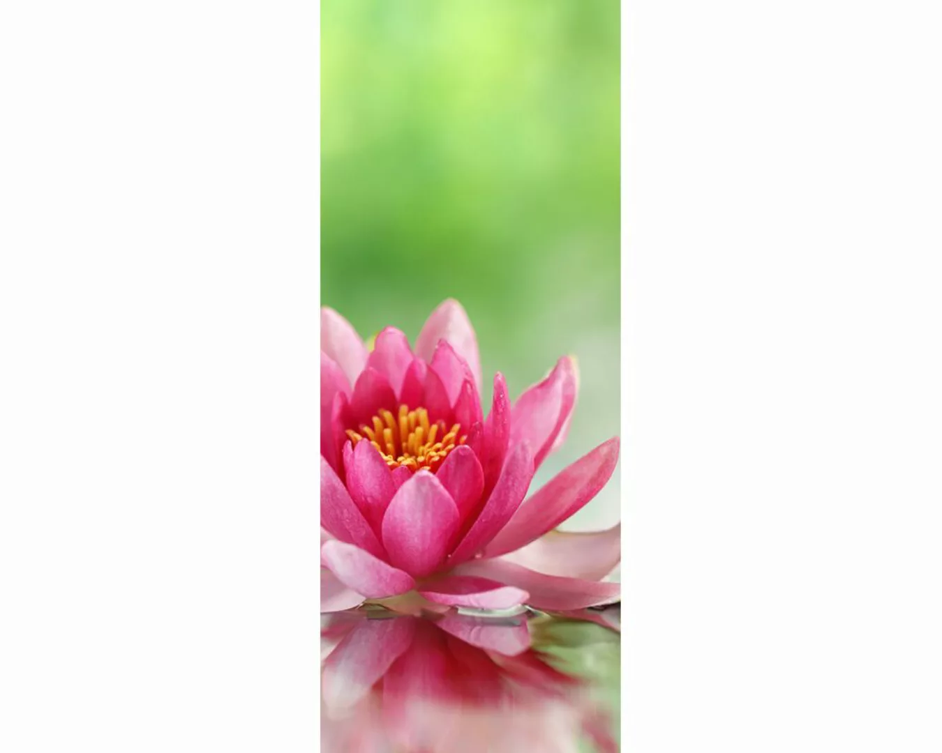 Dekopanel "Lilie in Natur" 1,00x2,50 m / Glattvlies Perlmutt günstig online kaufen