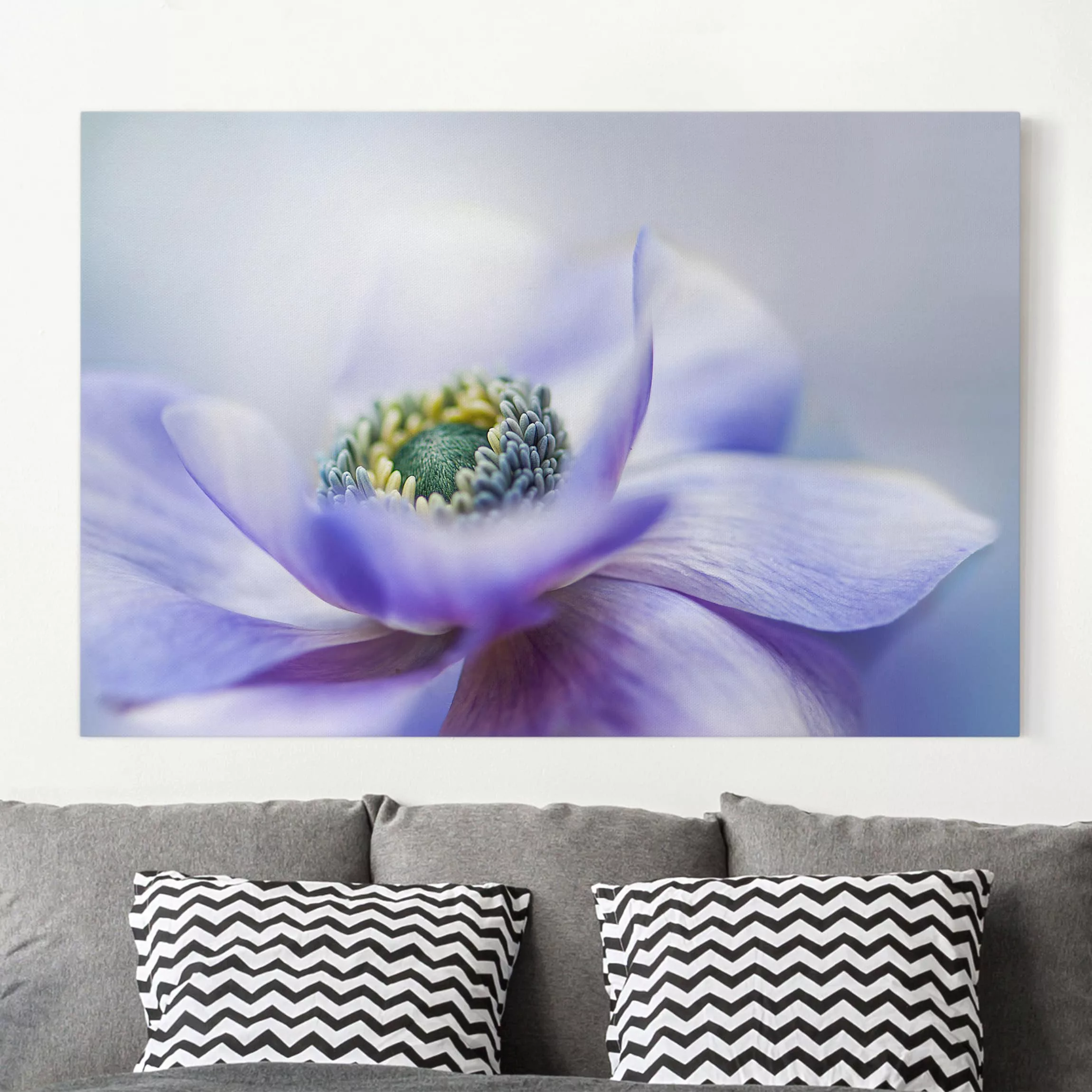 Leinwandbild - Querformat Anemone De Caen günstig online kaufen