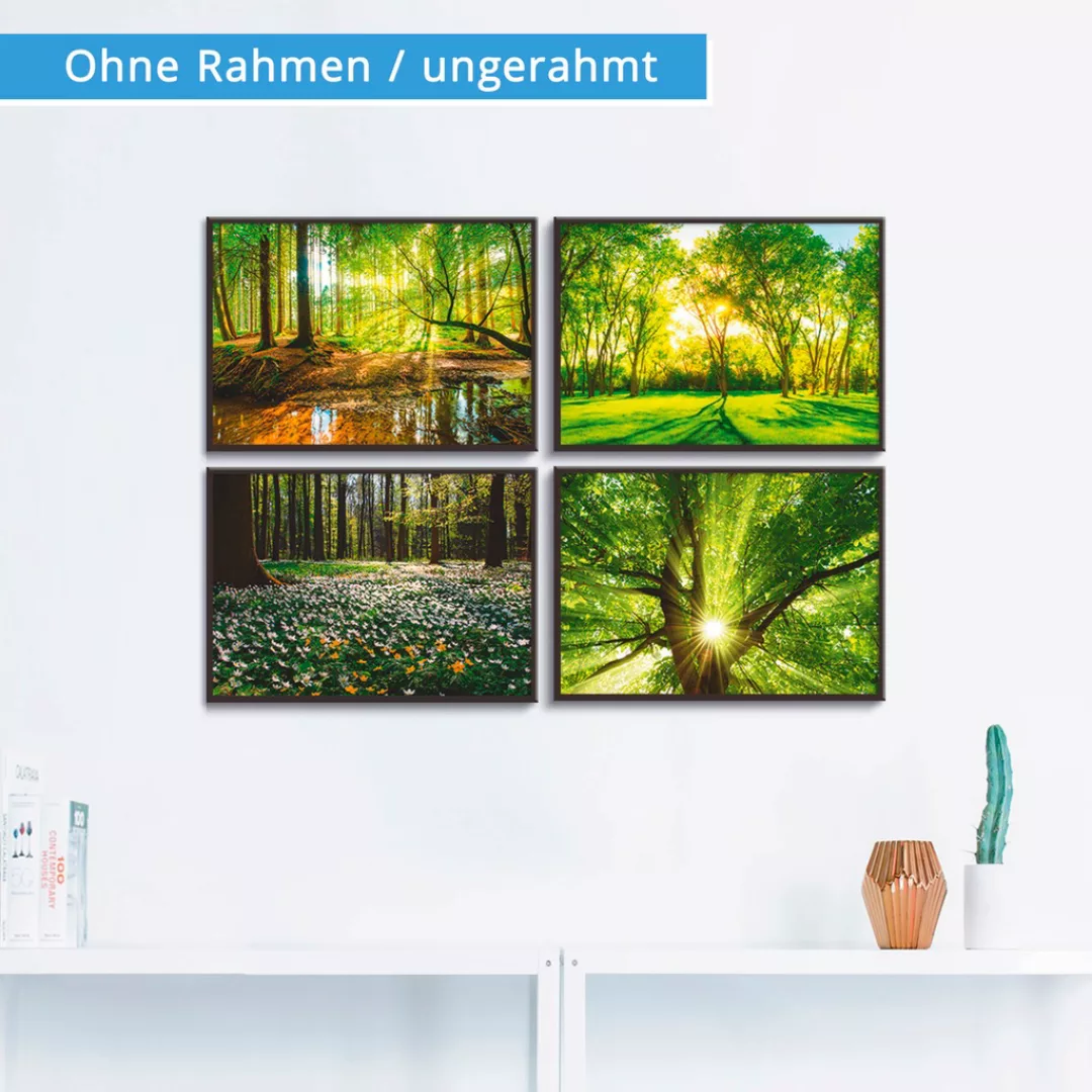 Artland Poster "Wald Bach Frühling Windrosen Sonne Baum", Wald, (4 St.), Po günstig online kaufen