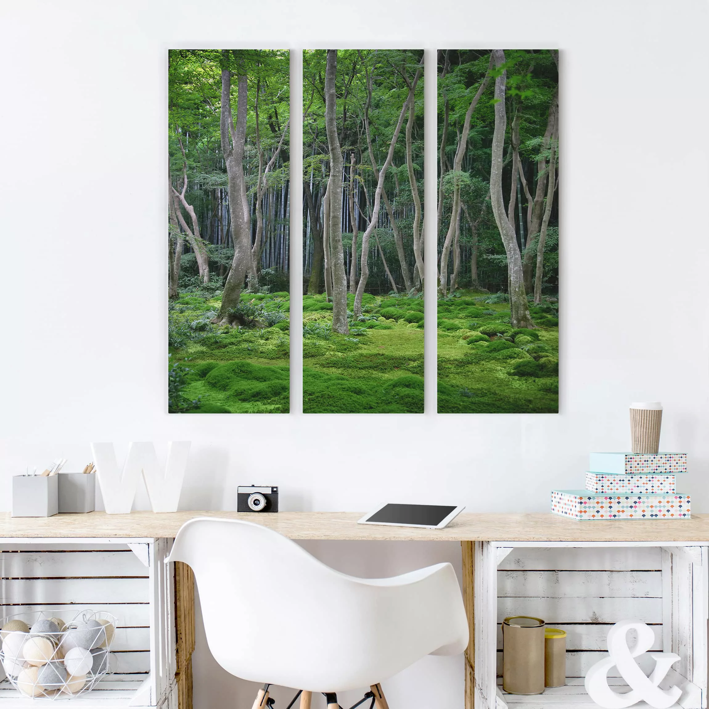 3-teiliges Leinwandbild Wald - Quadrat Japanischer Wald günstig online kaufen