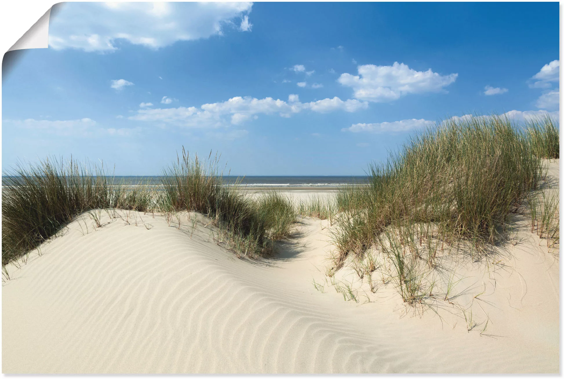 Artland Wandbild »Düne mit Meeresblick«, Strand, (1 St.), als Alubild, Outd günstig online kaufen