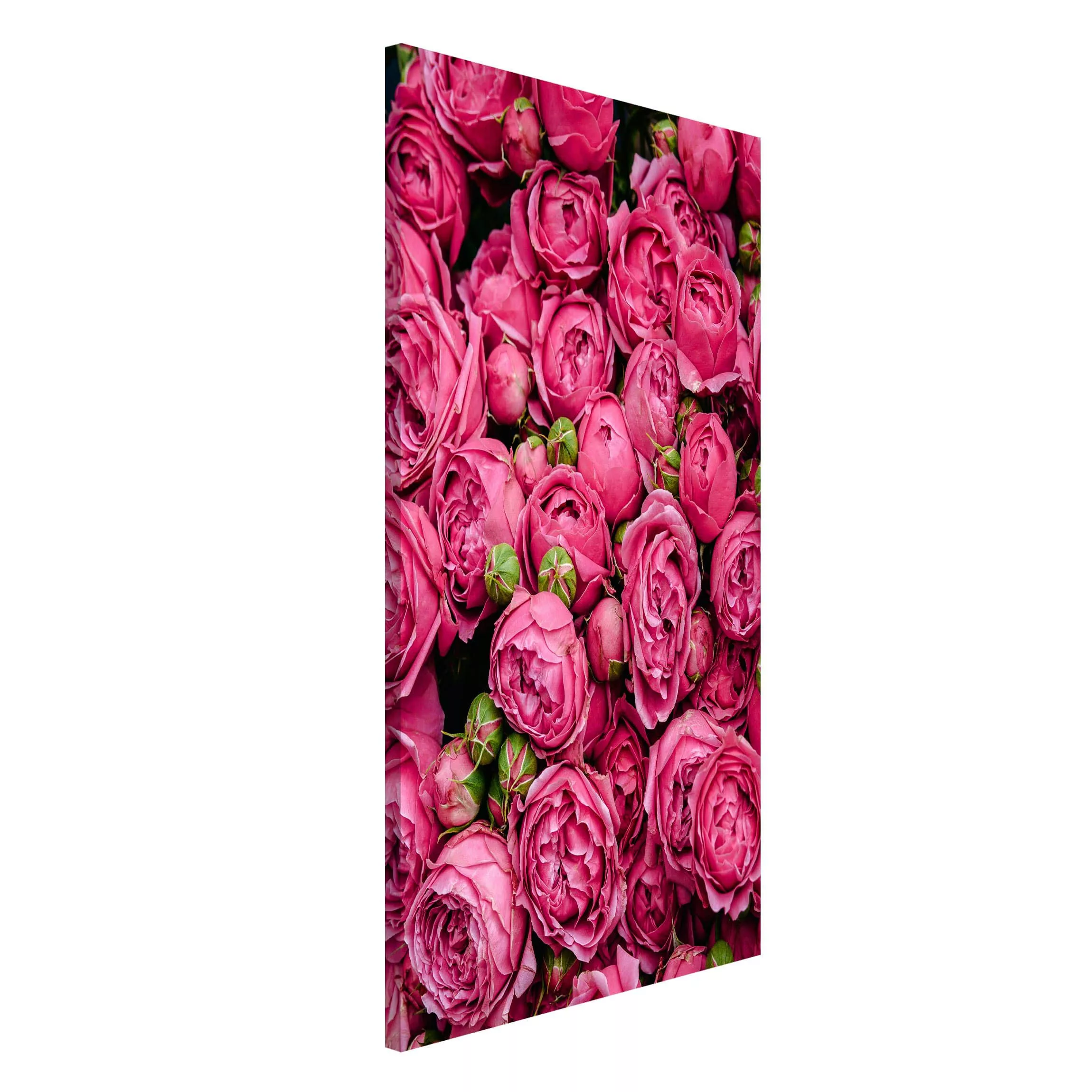Magnettafel Blumen - Hochformat 3:4 Pinke Pfingstrosen günstig online kaufen