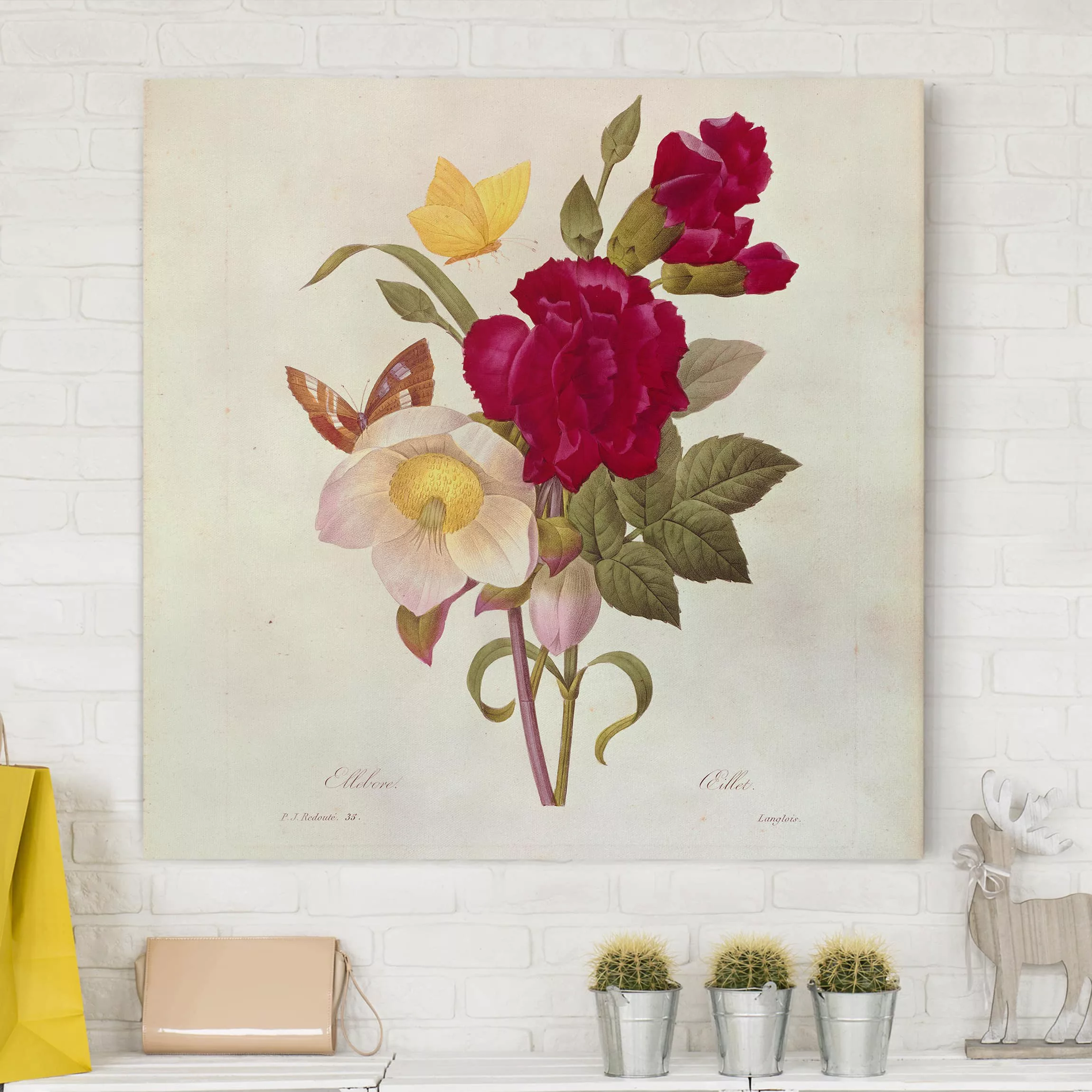 Leinwandbild Blumen - Quadrat Pierre Joseph Redouté - Christrosen günstig online kaufen