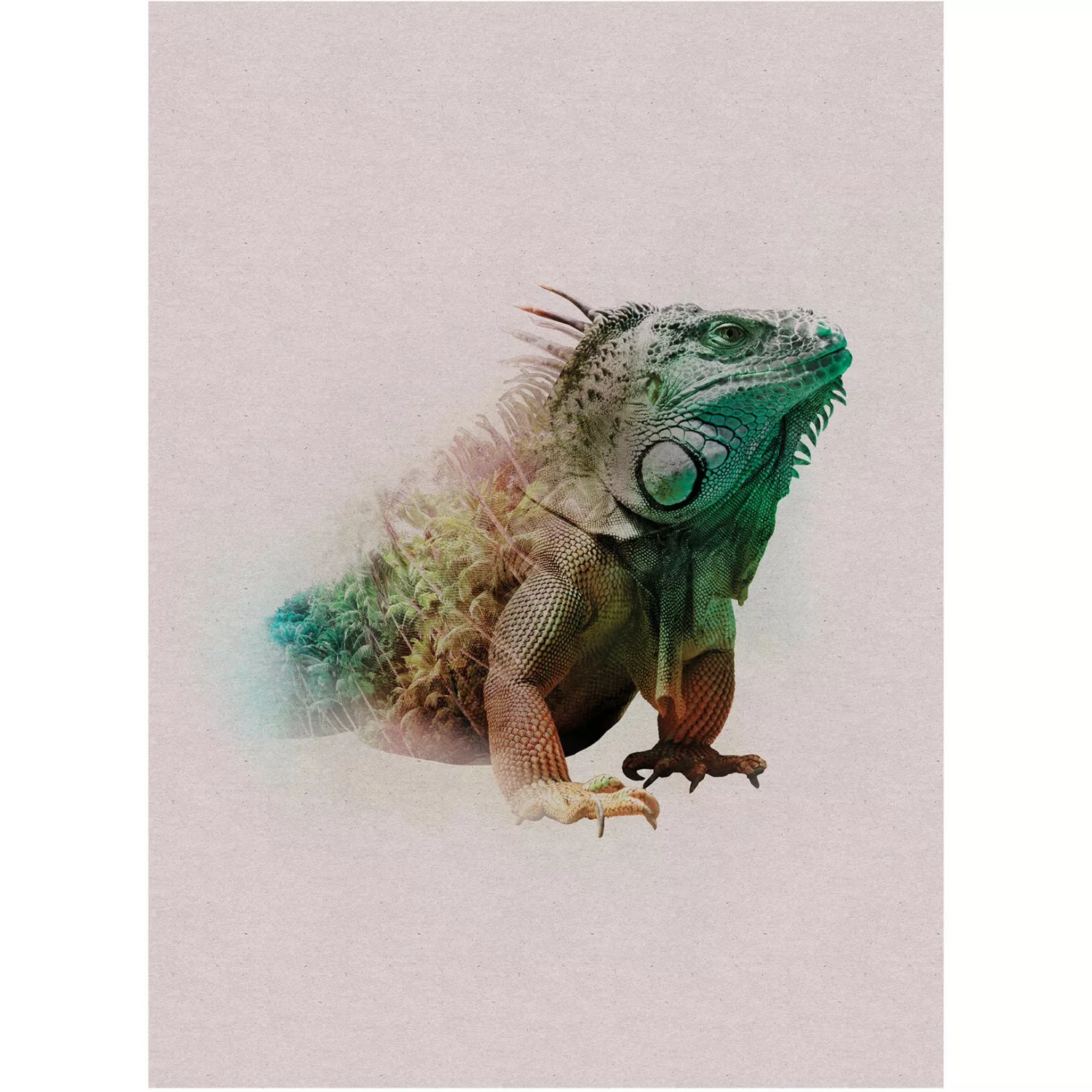 Komar Wandbild Animals Iguana 30 x 40 cm günstig online kaufen