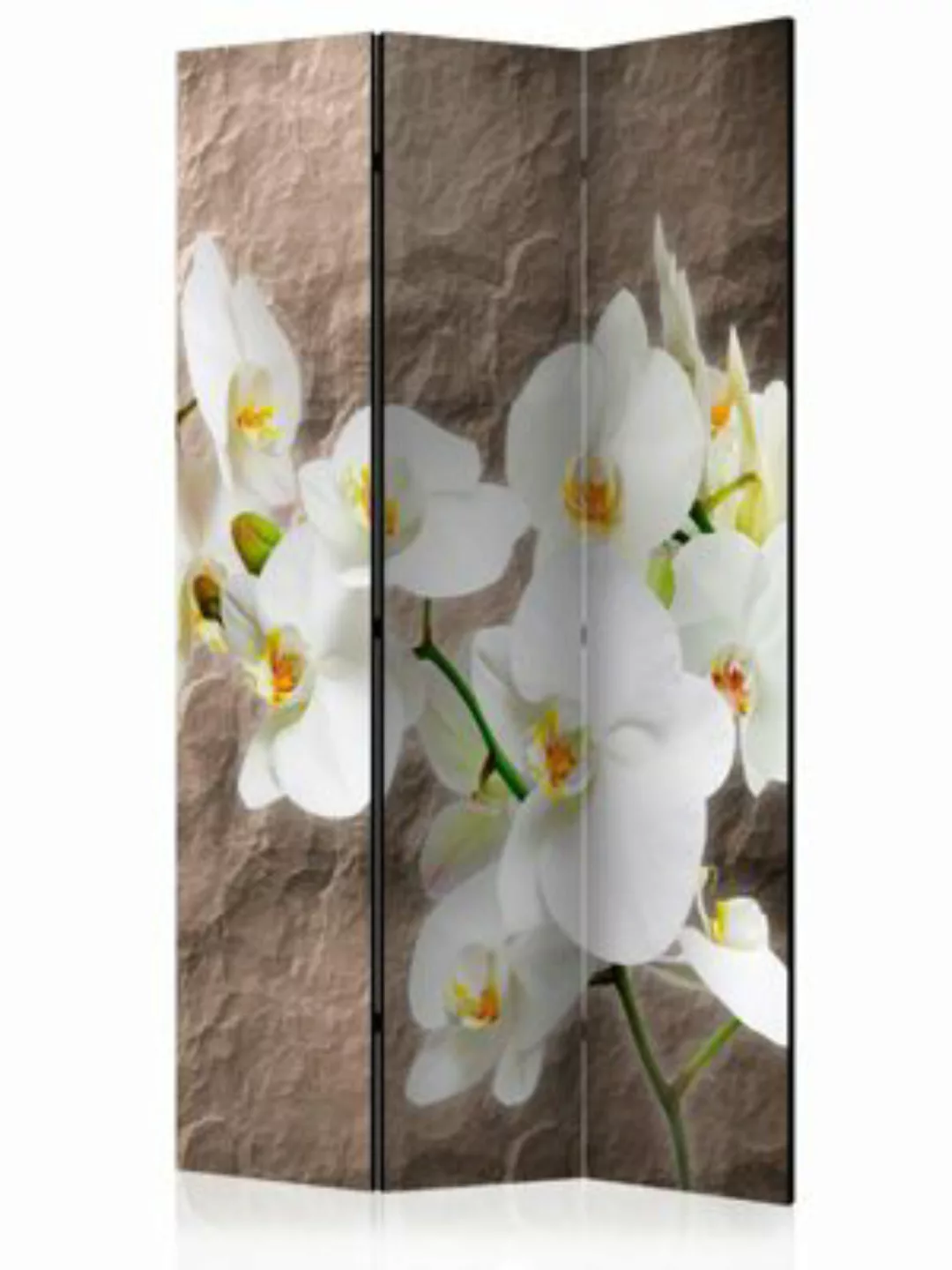 artgeist Paravent Impeccability of the Orchid [Room Dividers] braun-kombi G günstig online kaufen