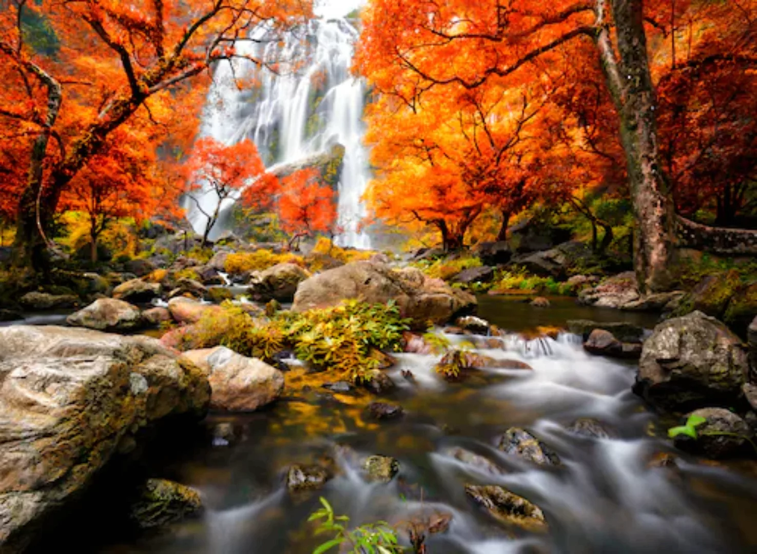 Papermoon Fototapete »Autumn Waterfall« günstig online kaufen