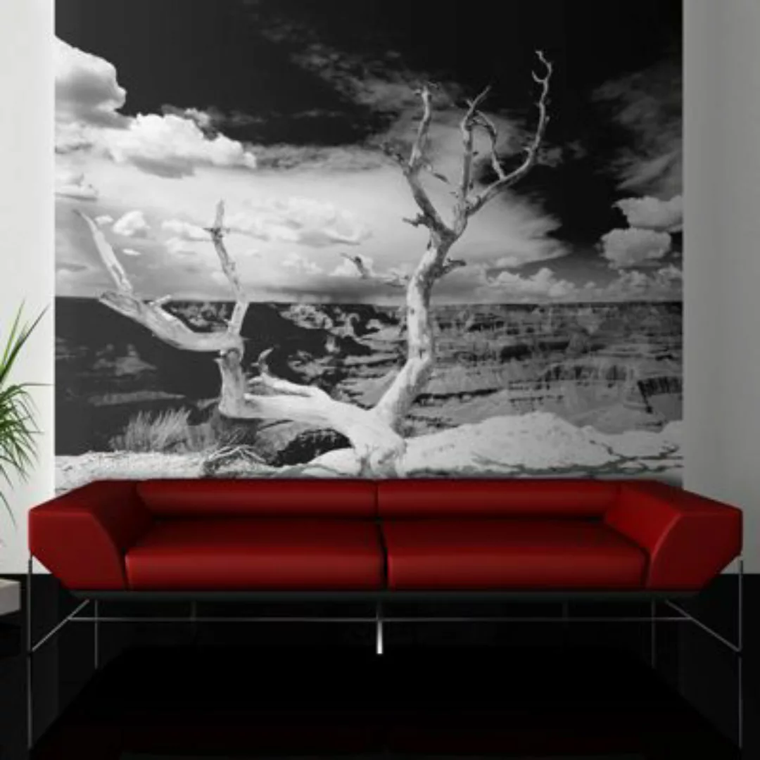 artgeist Fototapete Baum mit Grand Canyon im Hintergrund schwarz/weiß Gr. 3 günstig online kaufen