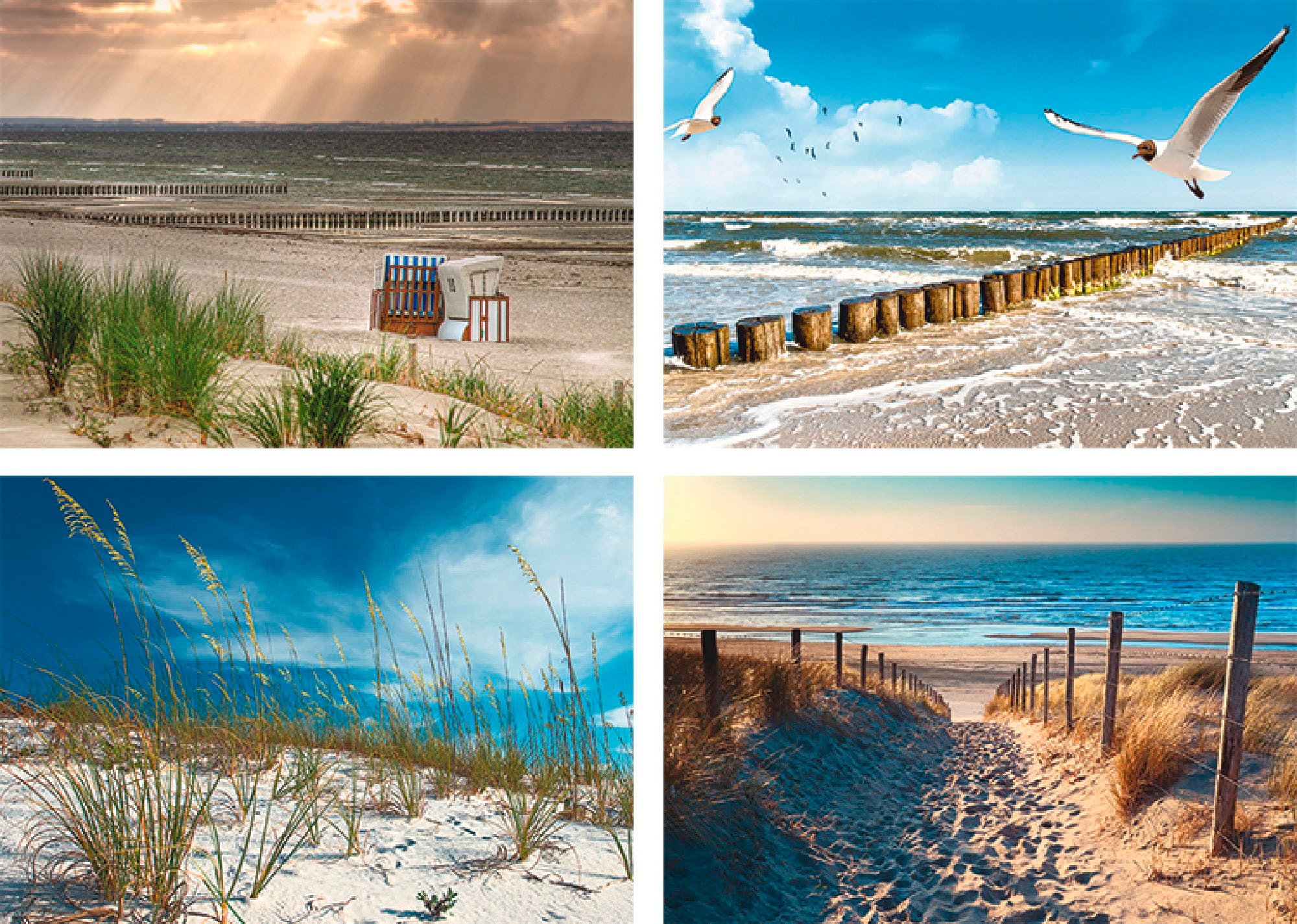 Artland Poster "Einsamer Strand Ostsee Sanddüne Gräser", Strand, (4 St.), P günstig online kaufen