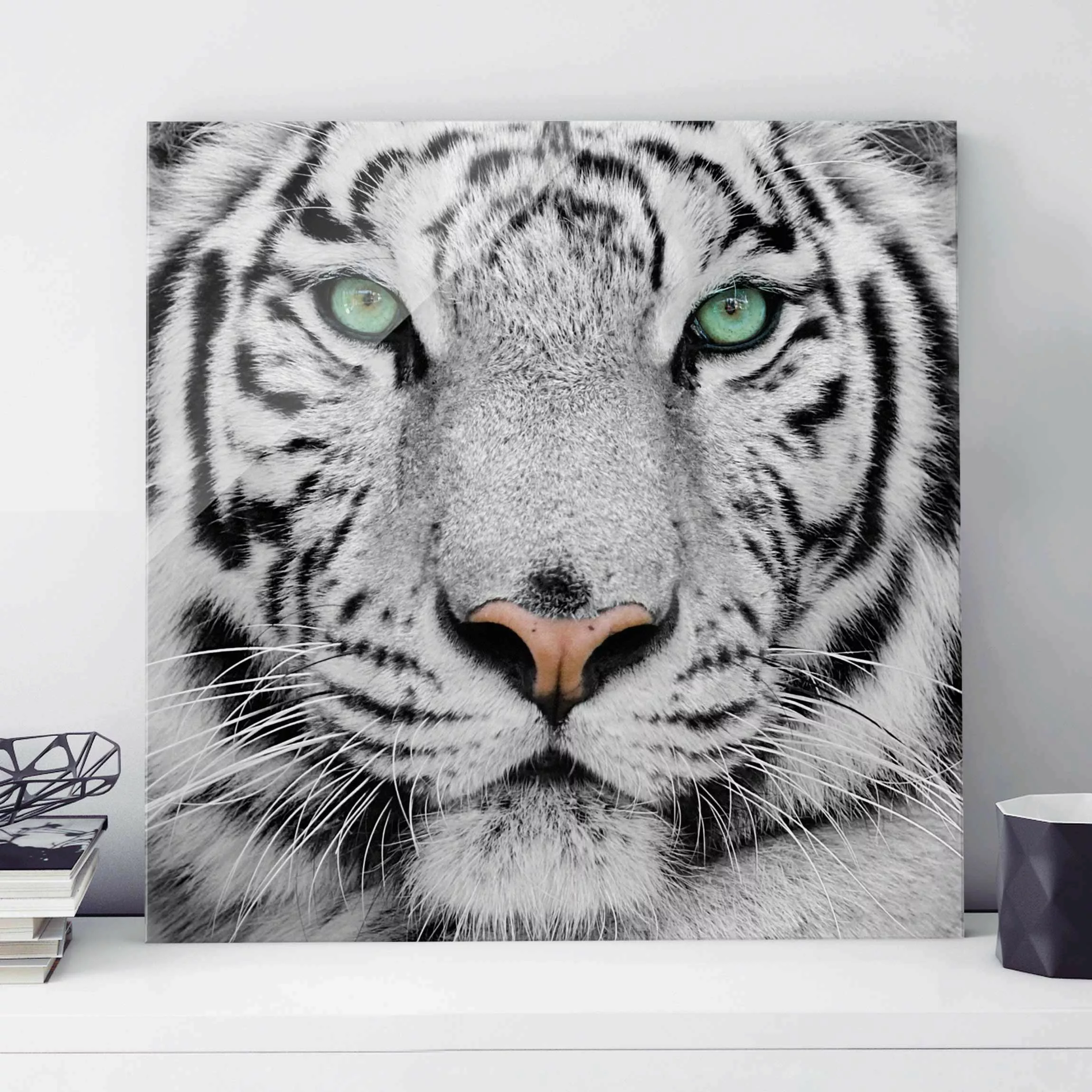 Glasbild Schwarz-Weiß - Quadrat Weißer Tiger günstig online kaufen