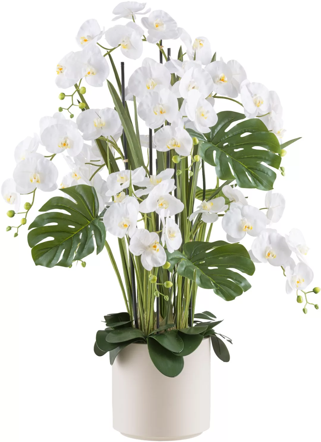 Creativ green Kunstorchidee "Orchidee Phalaenopsis", mit Gräsern und Splitp günstig online kaufen