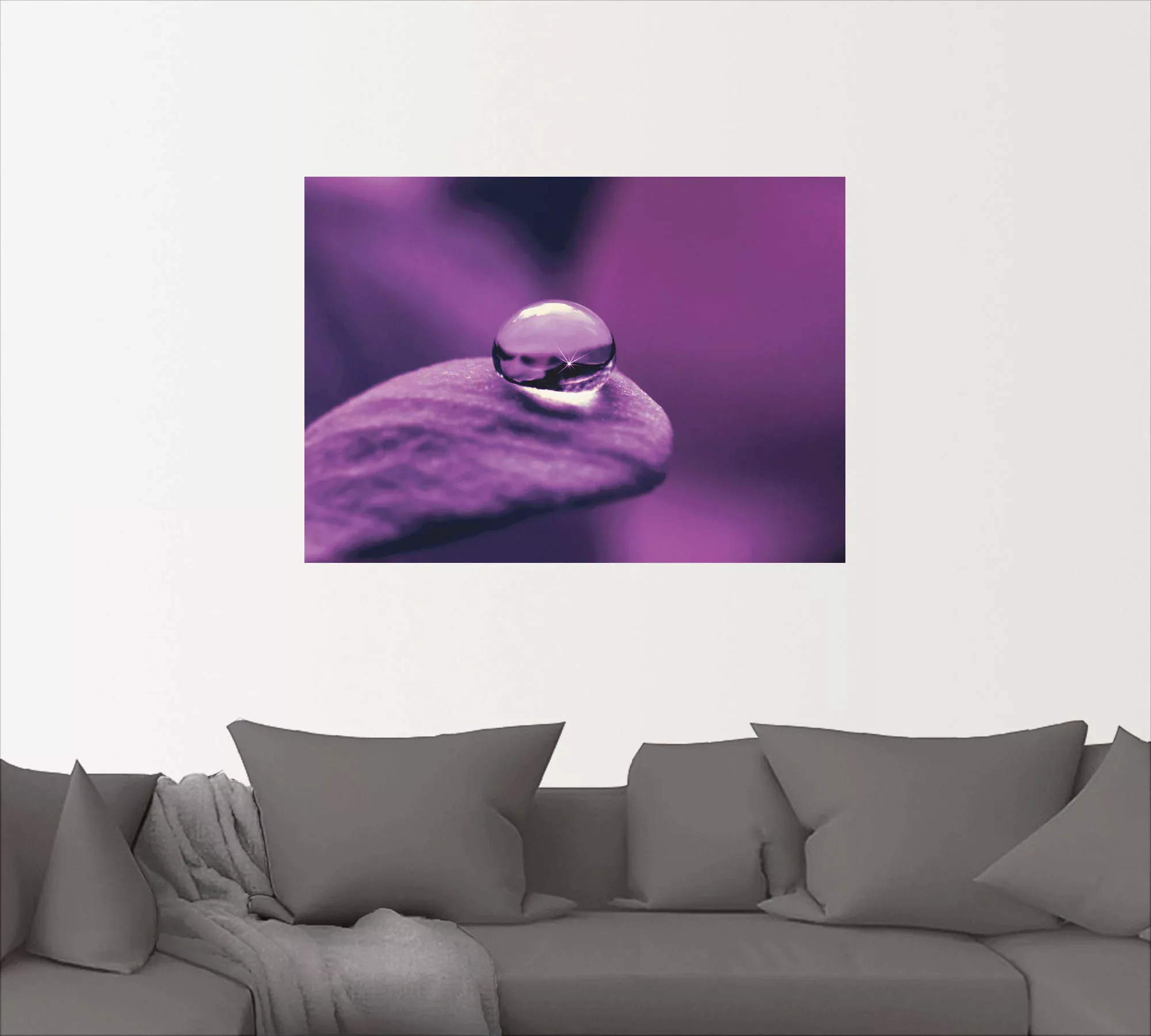 Artland Wandbild "Amethyst", Blumen, (1 St.), als Leinwandbild, Poster, Wan günstig online kaufen