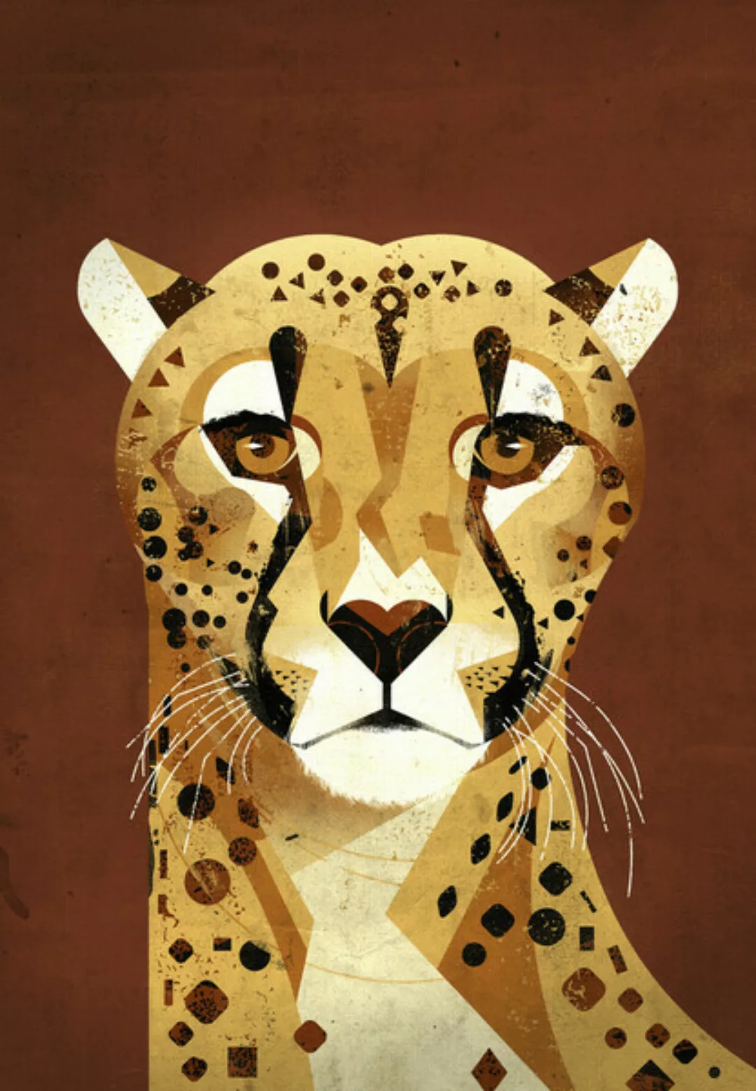 Poster / Leinwandbild - Gepard günstig online kaufen