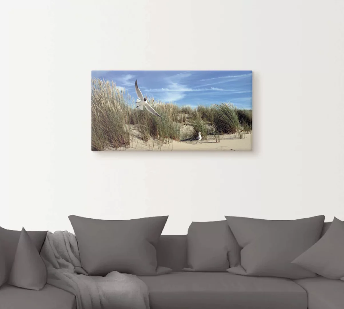 Artland Leinwandbild "Möwe und Seeschwalbe in Dünenlandschaft", Vögel, (1 S günstig online kaufen