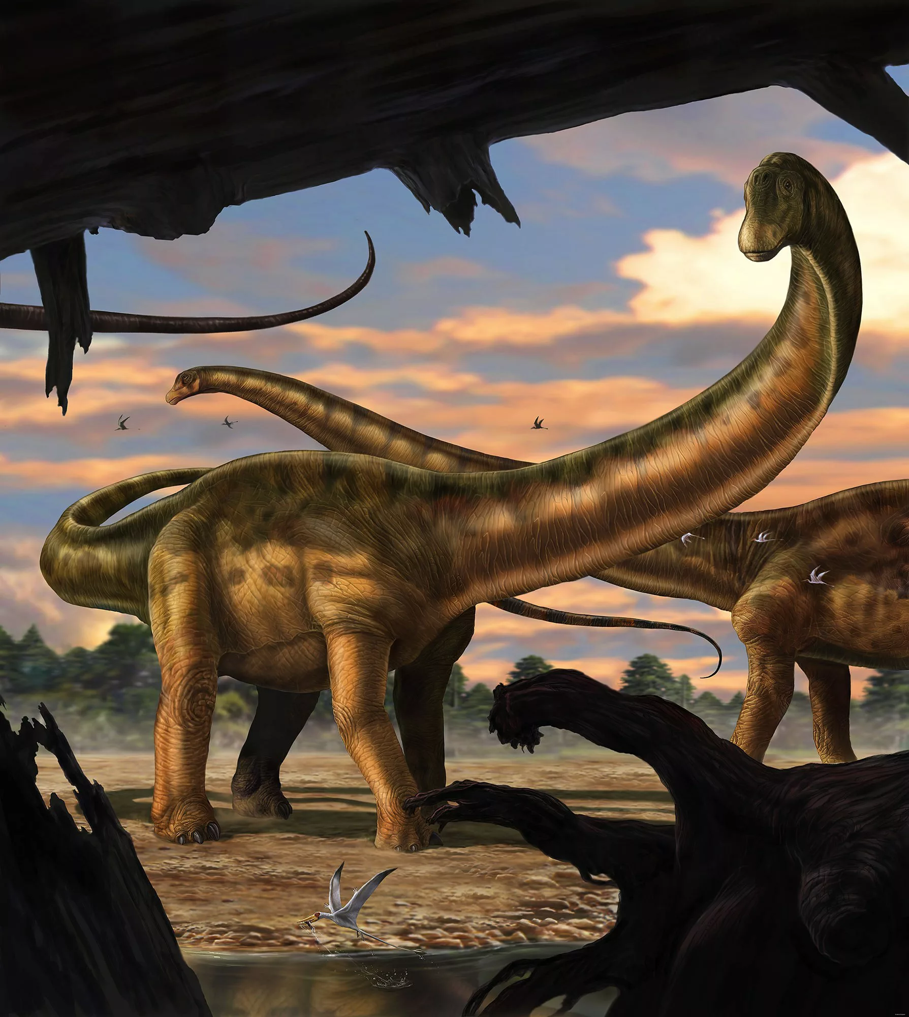 KOMAR Vlies Fototapete - Seismosaurus - Größe 250 x 280 cm mehrfarbig günstig online kaufen