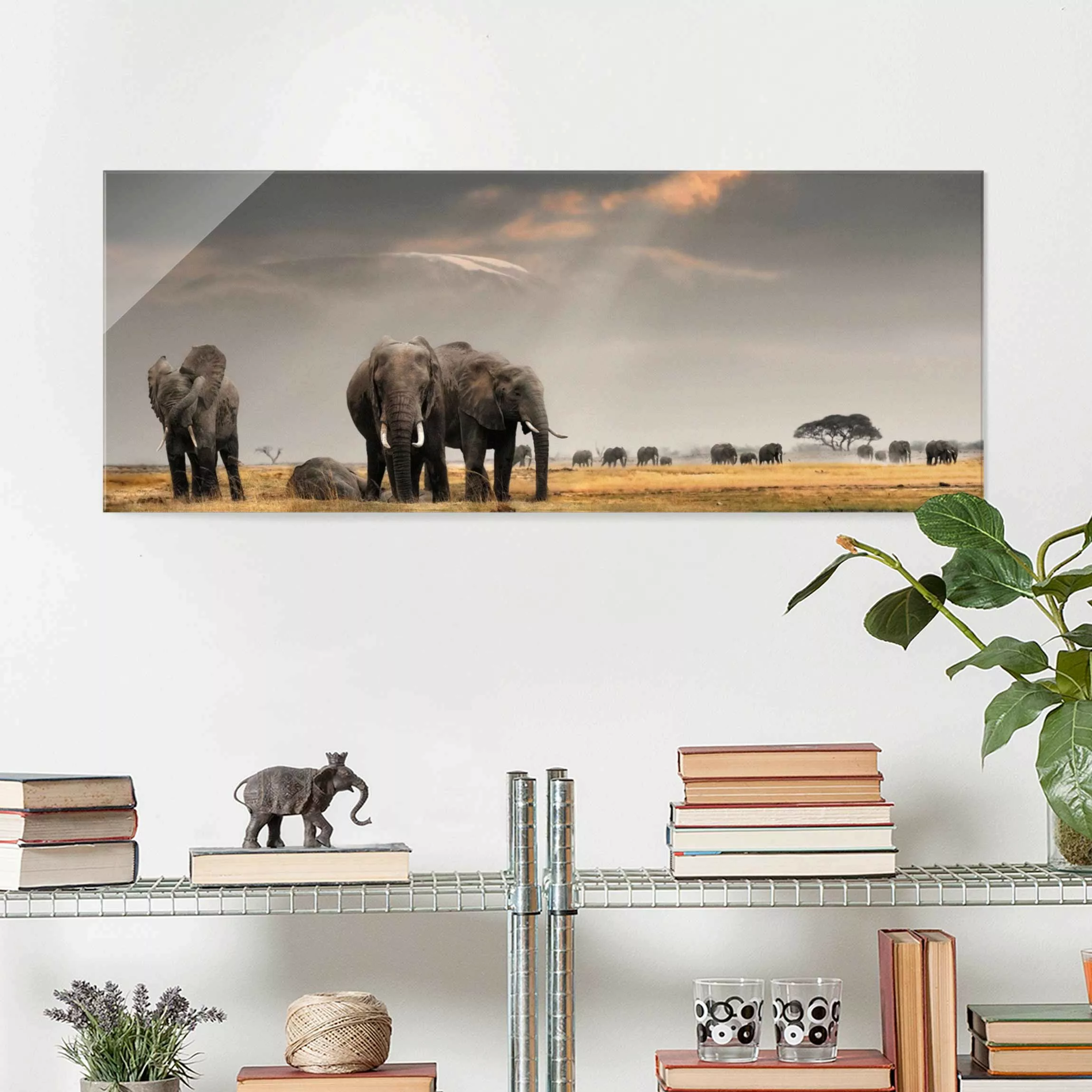 Glasbild Tiere - Panorama Elefanten der Savanne günstig online kaufen