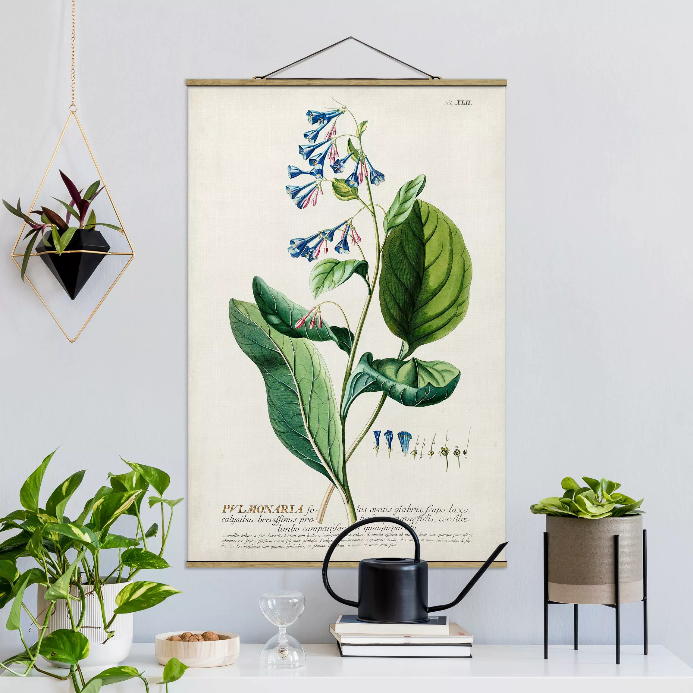 Stoffbild Blumen mit Posterleisten - Hochformat Vintage Botanik Illustratio günstig online kaufen