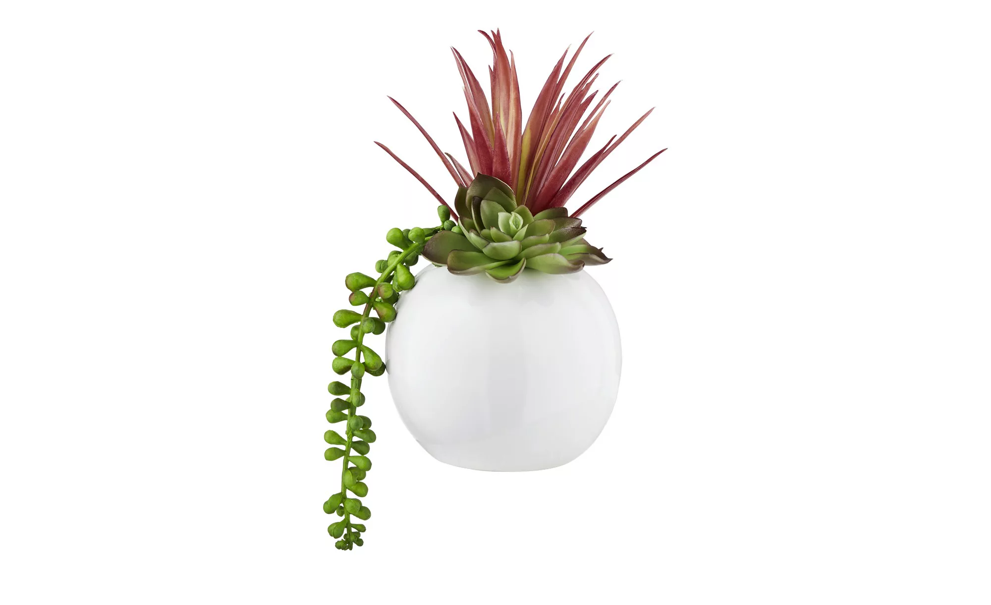 Sukkulentenmix im Keramiktopf  Kunstblume - grün - Keramik, Kunststoff - 20 günstig online kaufen