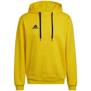 adidas  Sweatshirt Entrada 22 günstig online kaufen