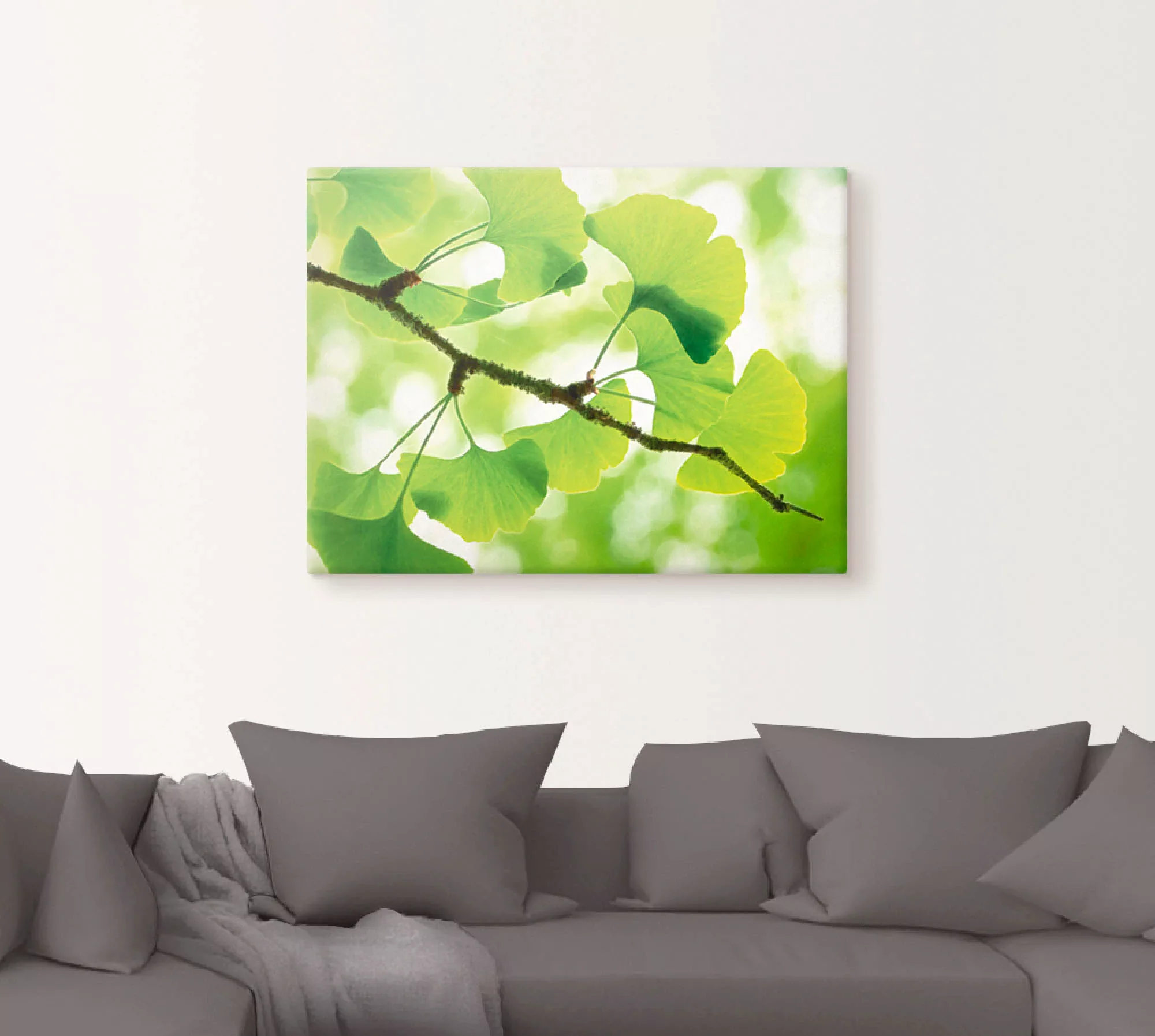 Artland Wandbild »Ginkgo«, Blätter, (1 St.), als Leinwandbild, Poster in ve günstig online kaufen